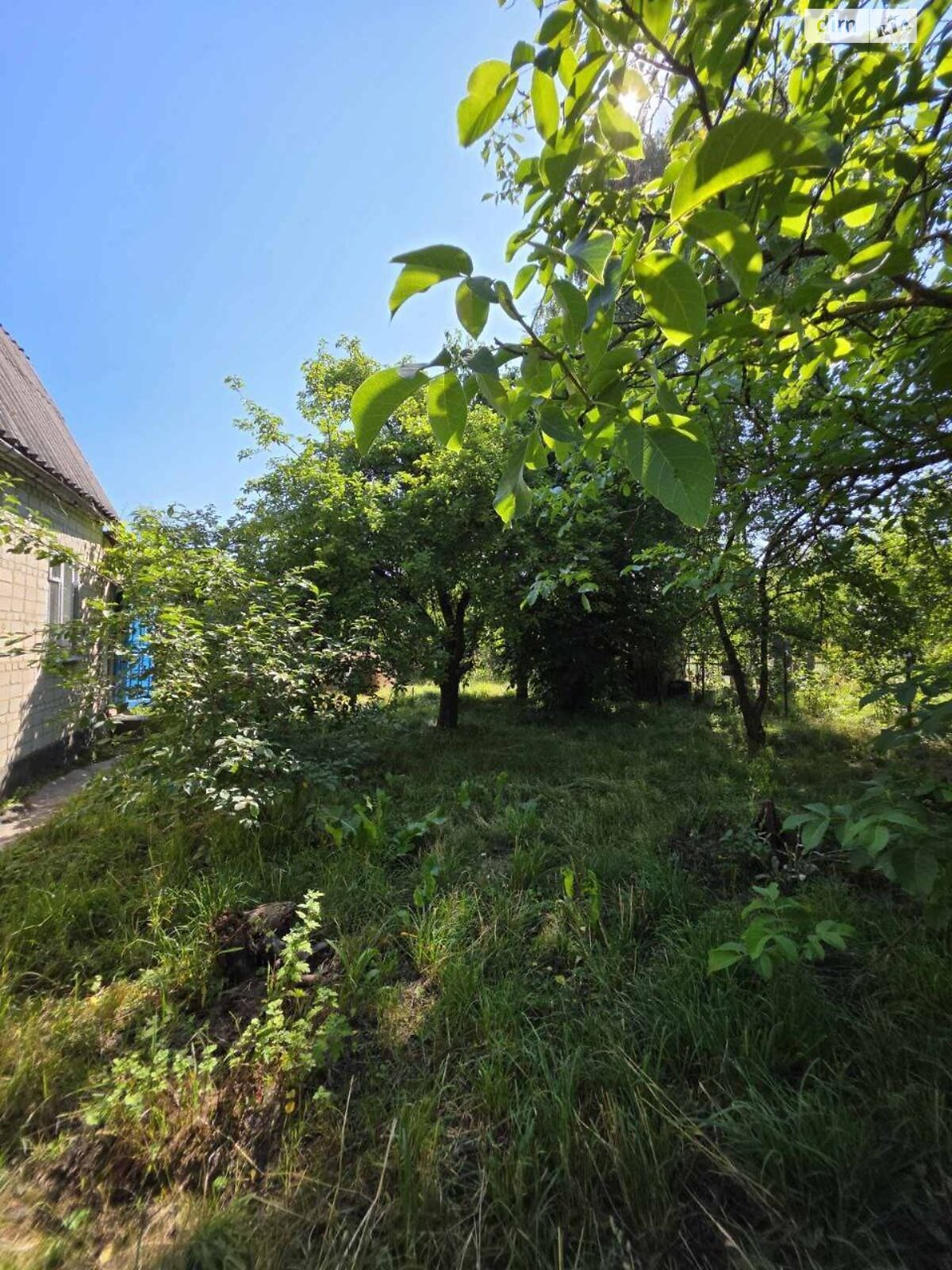 одноэтажный дом с отоплением, 49 кв. м, кирпич. Продажа в Новой Украинке фото 1