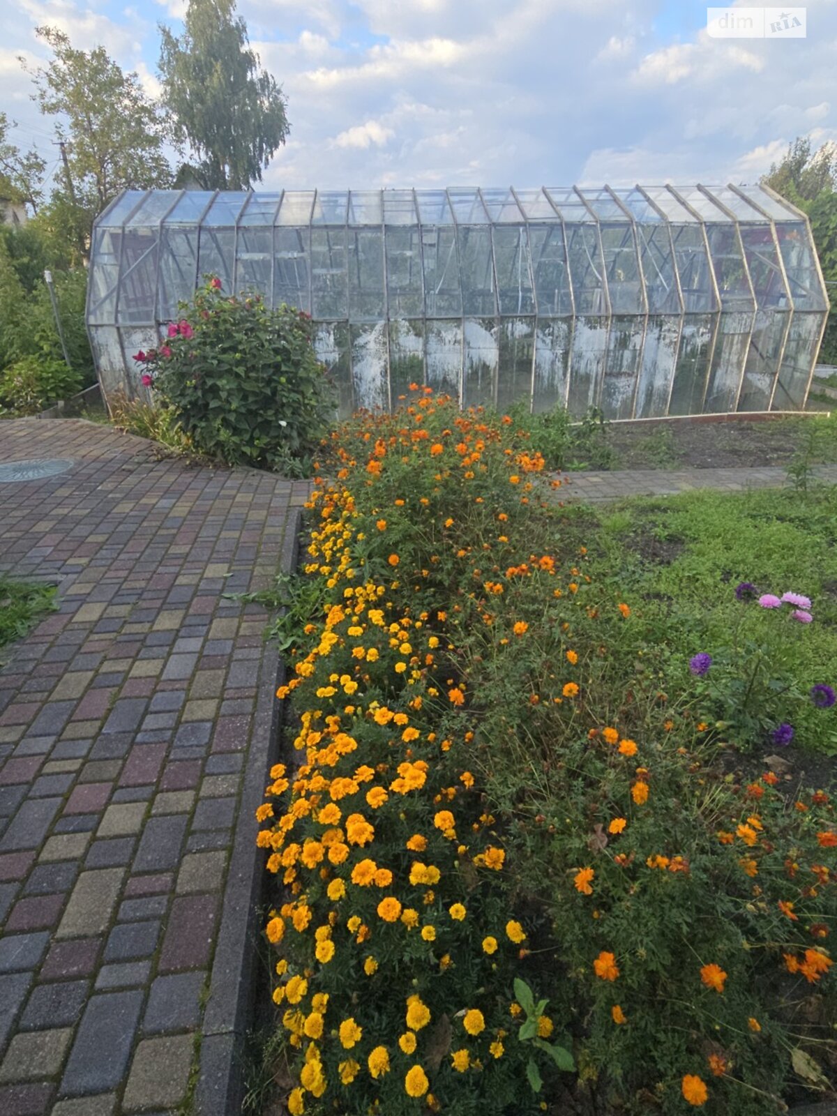 двухэтажный дом, 52 кв. м, кирпич. Продажа в Новой Украинке фото 1