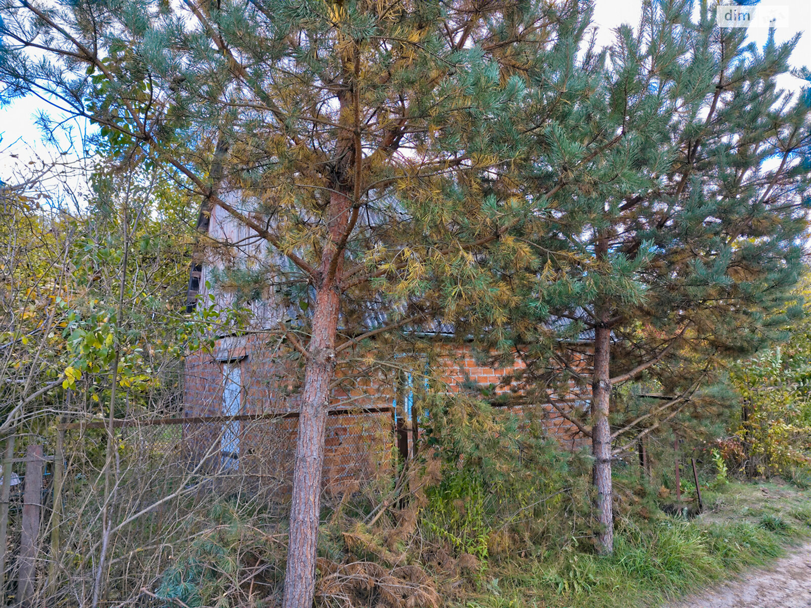 одноэтажный дом с отоплением, 22 кв. м, кирпич. Продажа в Новой Украинке фото 1 одноэтажный дом с отоплением, 22 кв. м, кирпич. Продажа в Новой Украинке фото 1