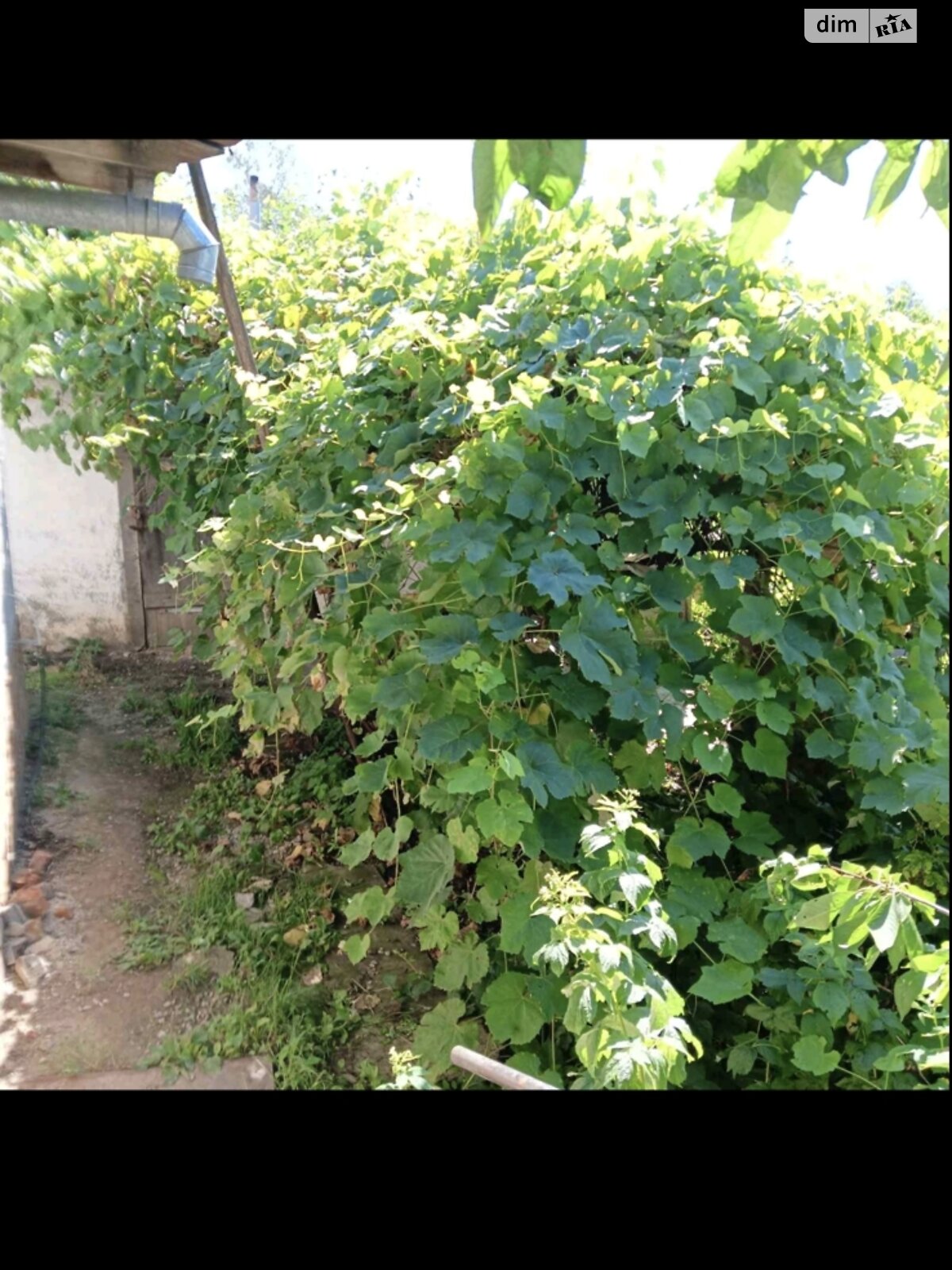 одноэтажный дом с отоплением, 68 кв. м, кирпич. Продажа в НоваяВодолаге район Новая Водолага фото 1 одноэтажный дом с отоплением, 68 кв. м, кирпич. Продажа в НоваяВодолаге район Новая Водолага фото 1