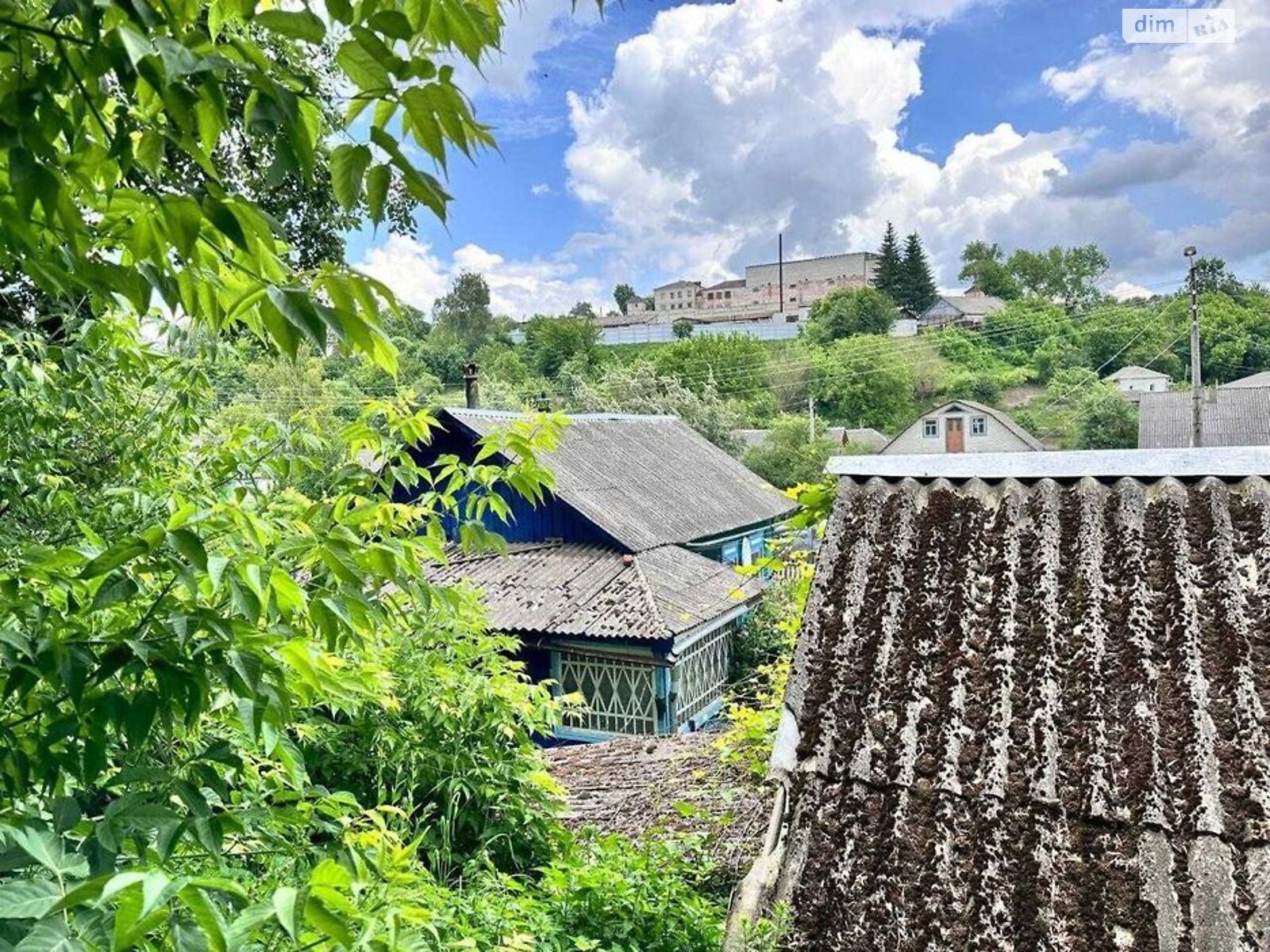 одноэтажный дом, 54.85 кв. м, сруб. Продажа в Новгороде-Северском фото 1 одноэтажный дом, 54.85 кв. м, сруб. Продажа в Новгороде-Северском фото 1