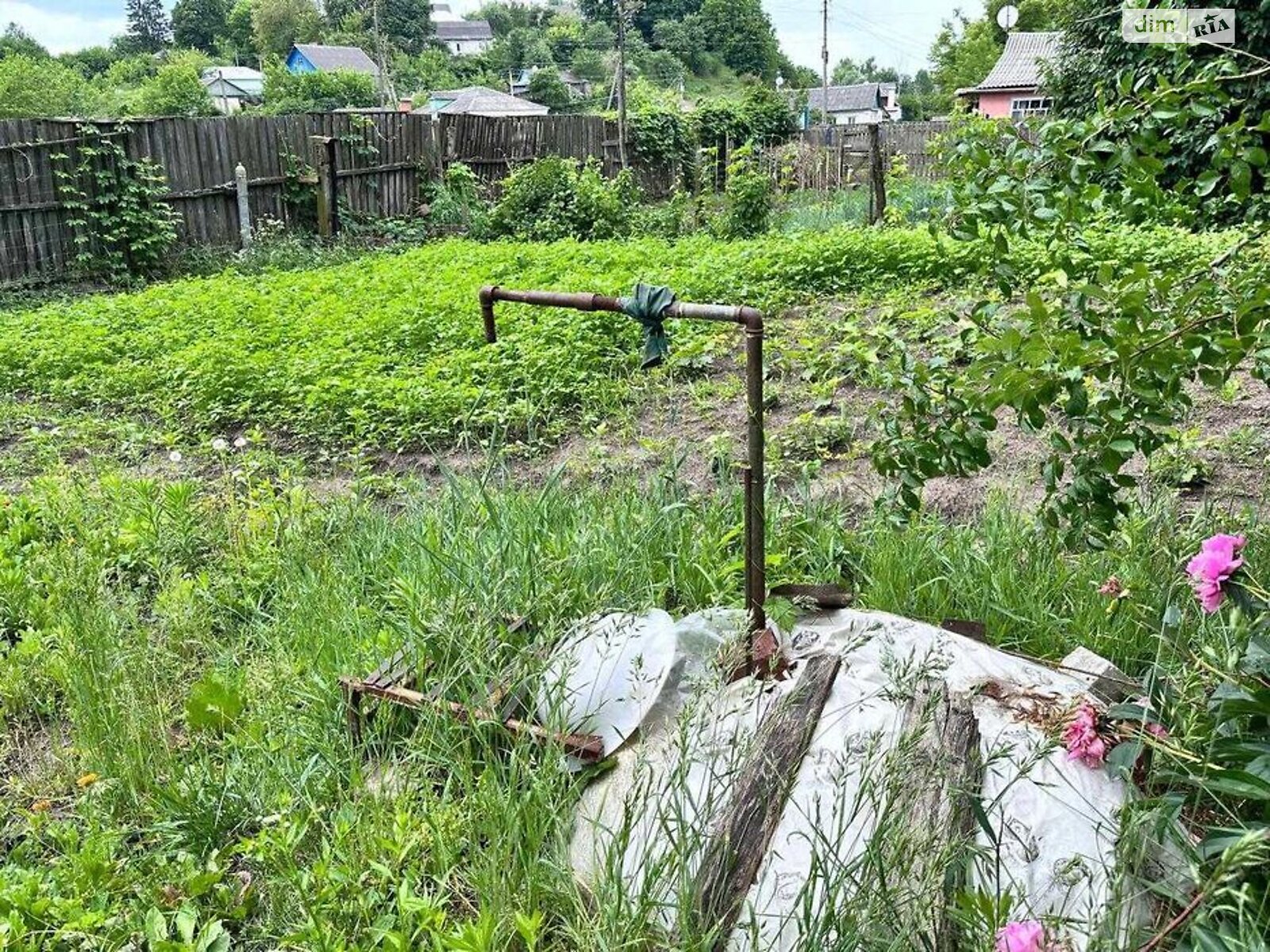 одноэтажный дом, 54.85 кв. м, сруб. Продажа в Новгороде-Северском фото 1 одноэтажный дом, 54.85 кв. м, сруб. Продажа в Новгороде-Северском фото 1