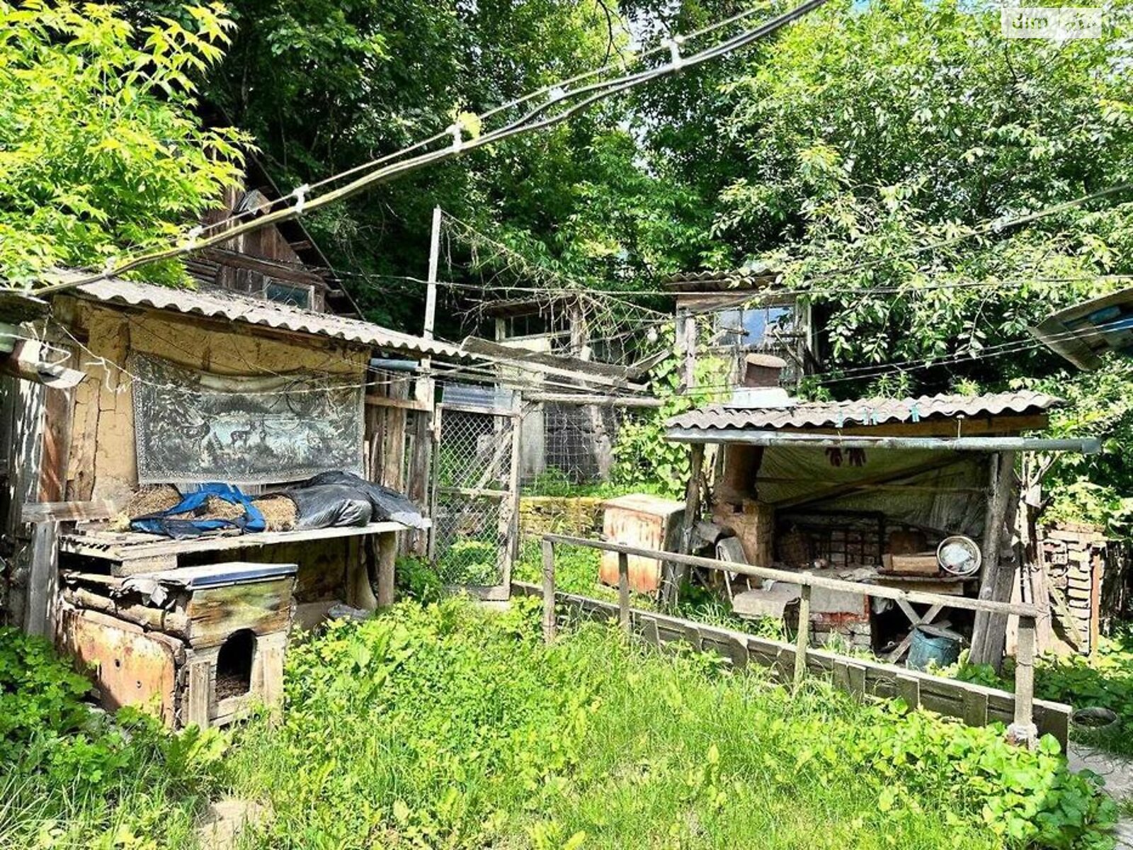 одноэтажный дом, 54.85 кв. м, сруб. Продажа в Новгороде-Северском фото 1 одноэтажный дом, 54.85 кв. м, сруб. Продажа в Новгороде-Северском фото 1