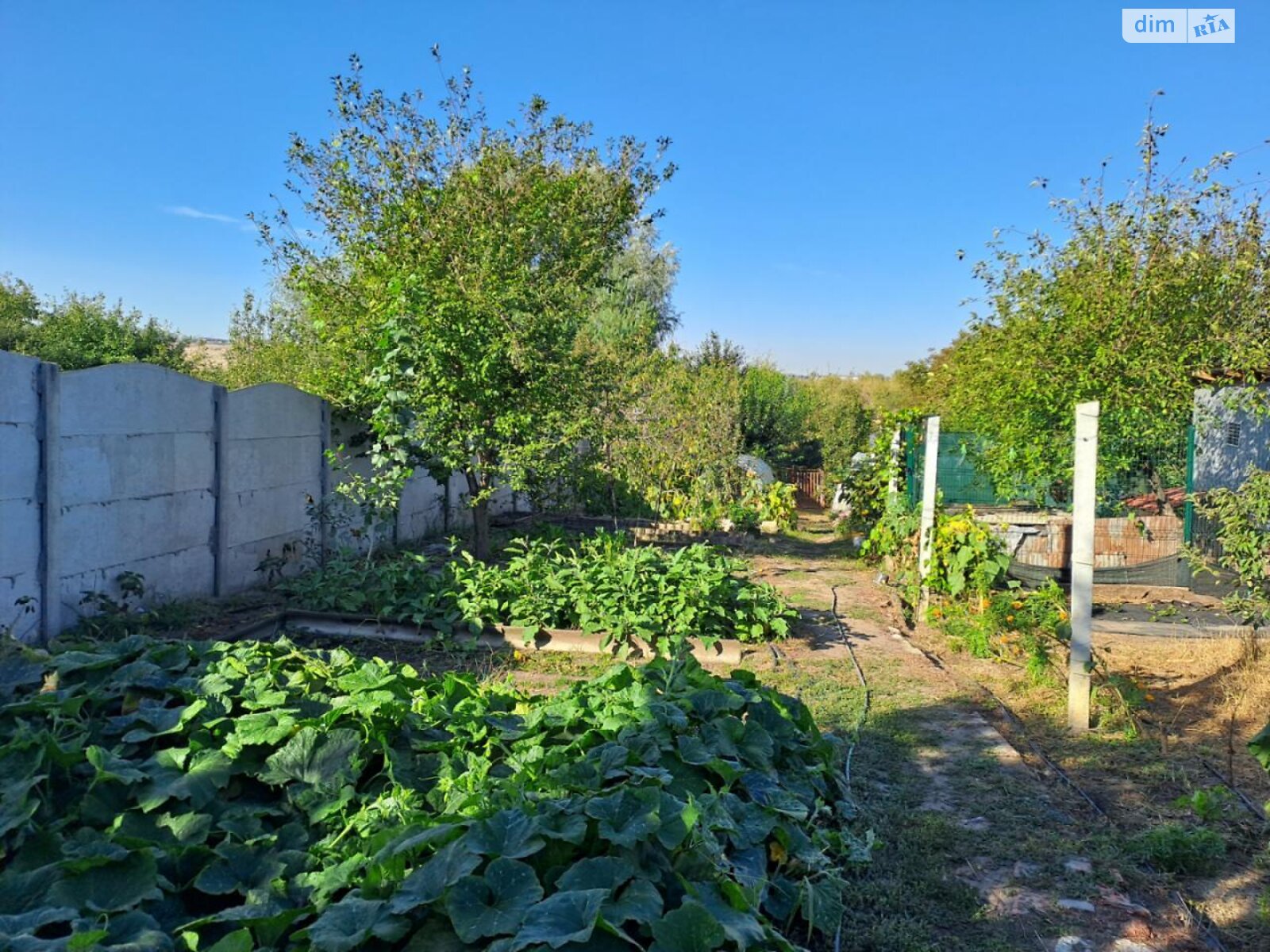 одноэтажный дом с гаражом, 67.9 кв. м, кирпич. Продажа в Новоалександровке фото 1 одноэтажный дом с гаражом, 67.9 кв. м, кирпич. Продажа в Новоалександровке фото 1