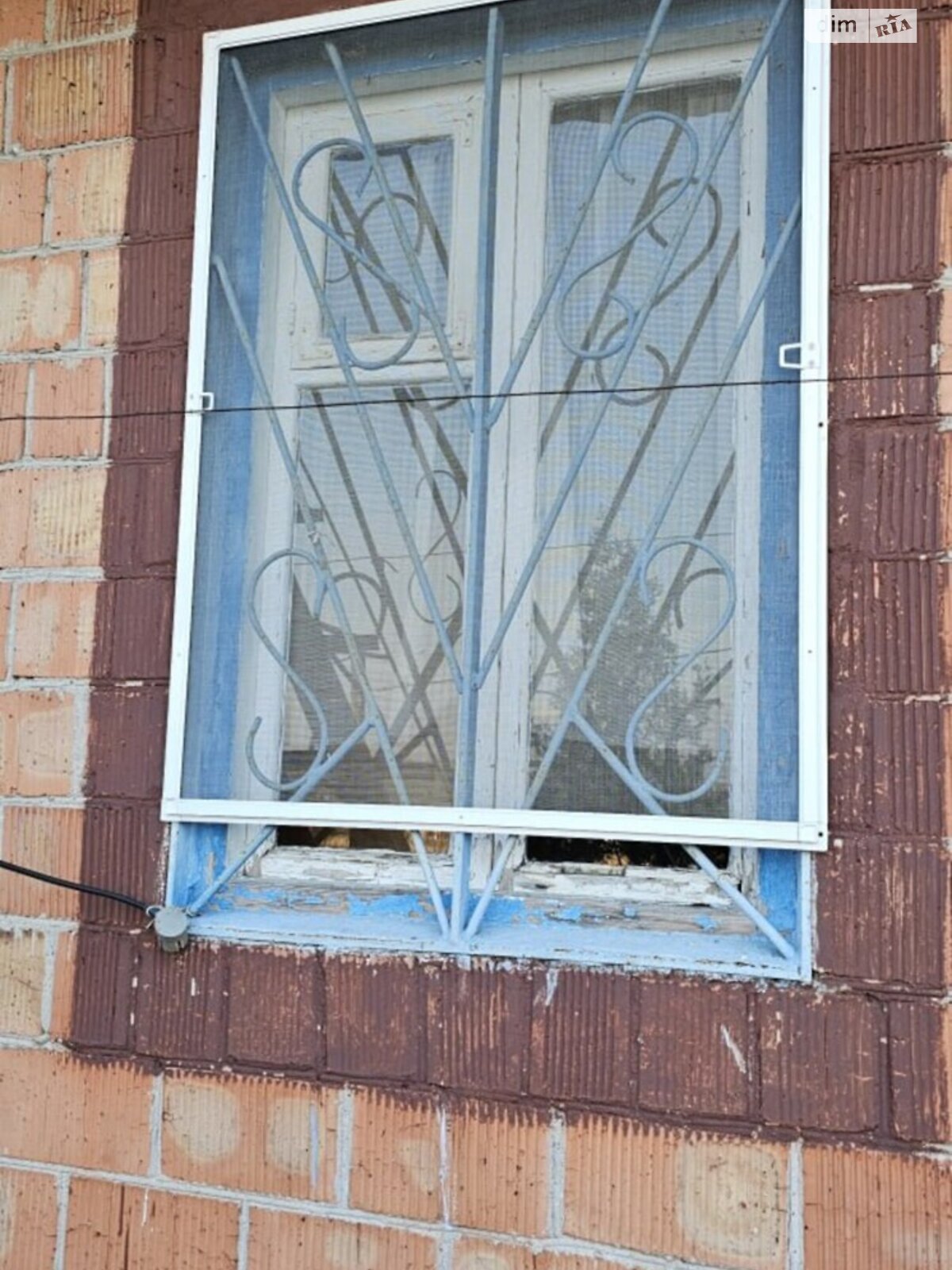двоповерховий будинок, 50 кв. м, цегла. Продаж у Новоолександрівці фото 1 двоповерховий будинок, 50 кв. м, цегла. Продаж у Новоолександрівці фото 1