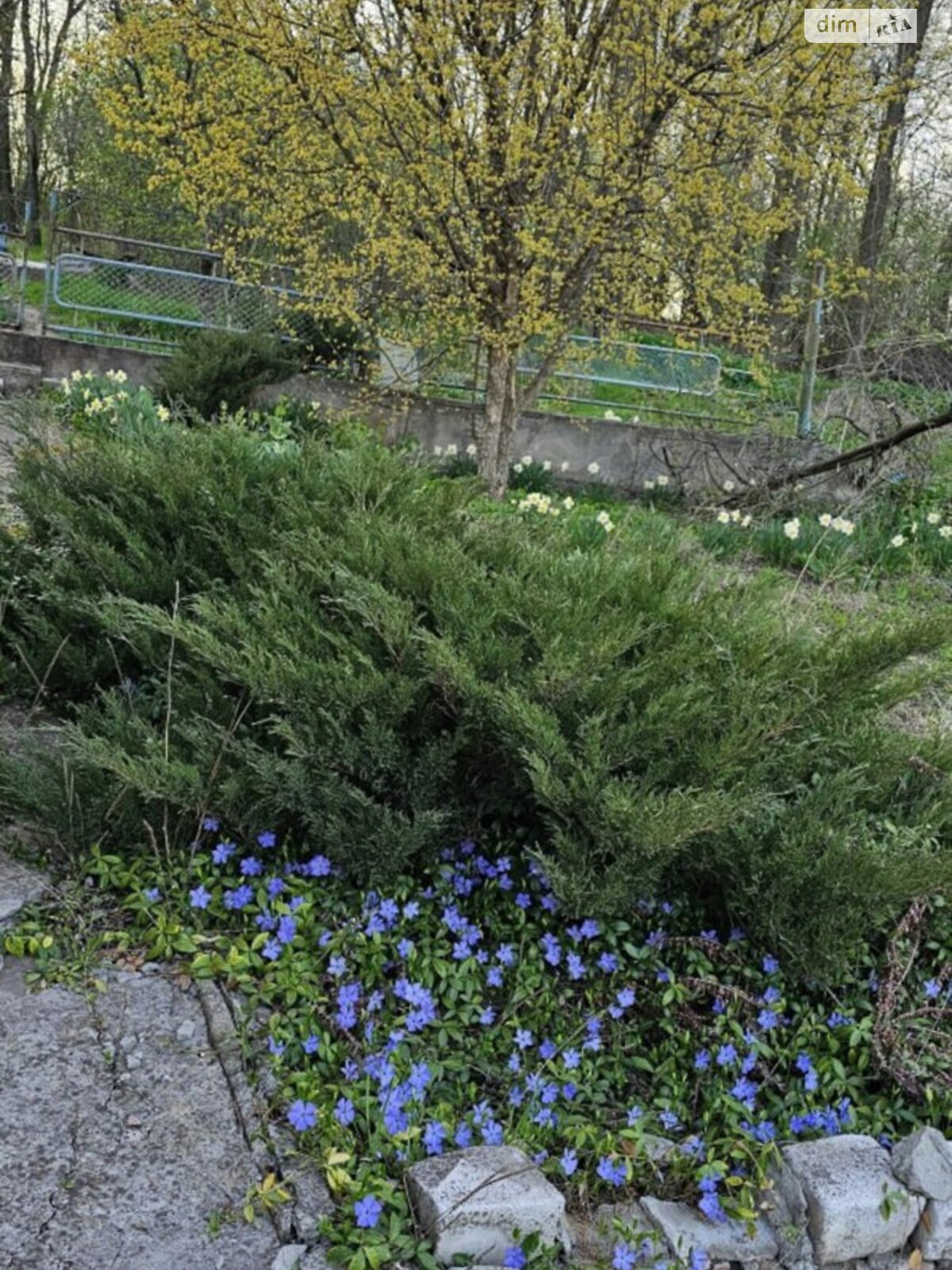 двоповерховий будинок, 50 кв. м, цегла. Продаж у Новоолександрівці фото 1 двоповерховий будинок, 50 кв. м, цегла. Продаж у Новоолександрівці фото 1