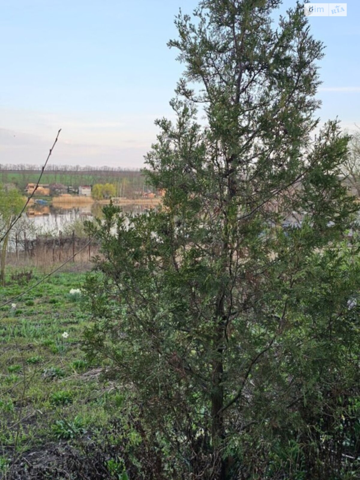 двоповерховий будинок, 50 кв. м, цегла. Продаж у Новоолександрівці фото 1 двоповерховий будинок, 50 кв. м, цегла. Продаж у Новоолександрівці фото 1