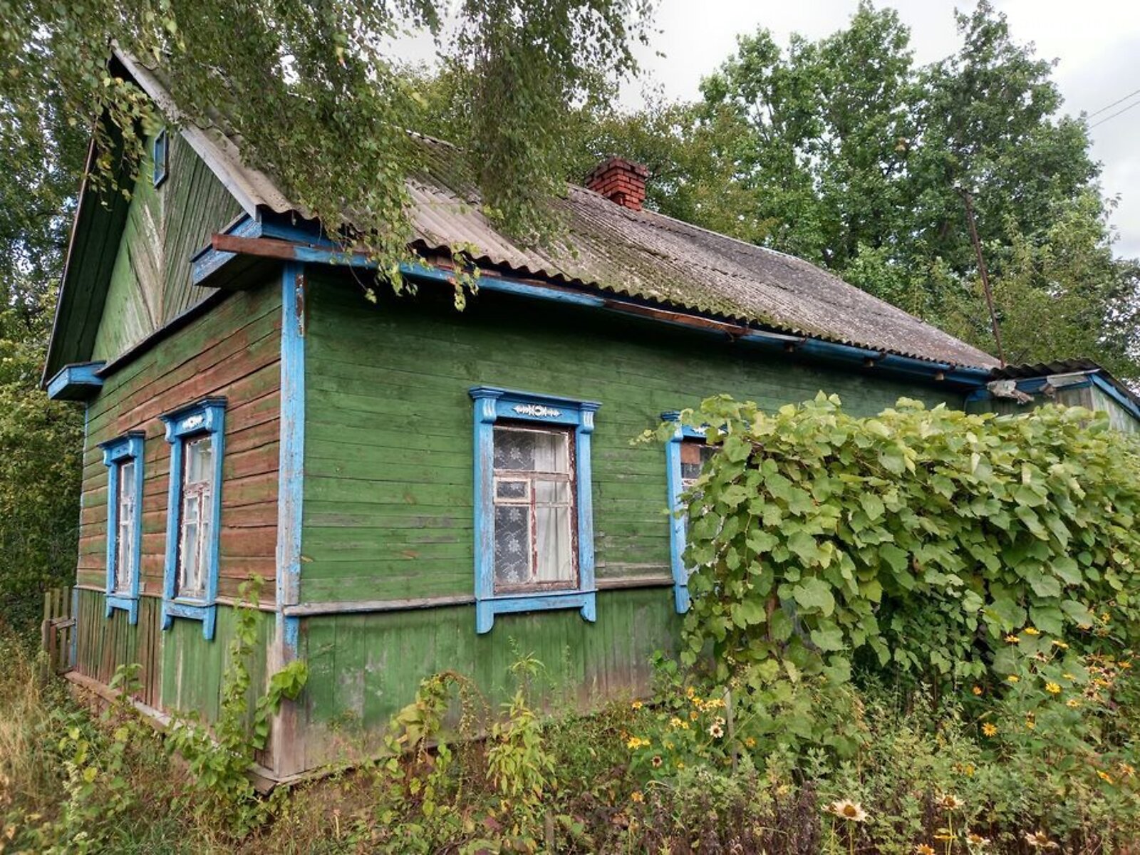 одноэтажный дом, 60 кв. м, сруб. Продажа в Новом фото 1 одноэтажный дом, 60 кв. м, сруб. Продажа в Новом фото 1