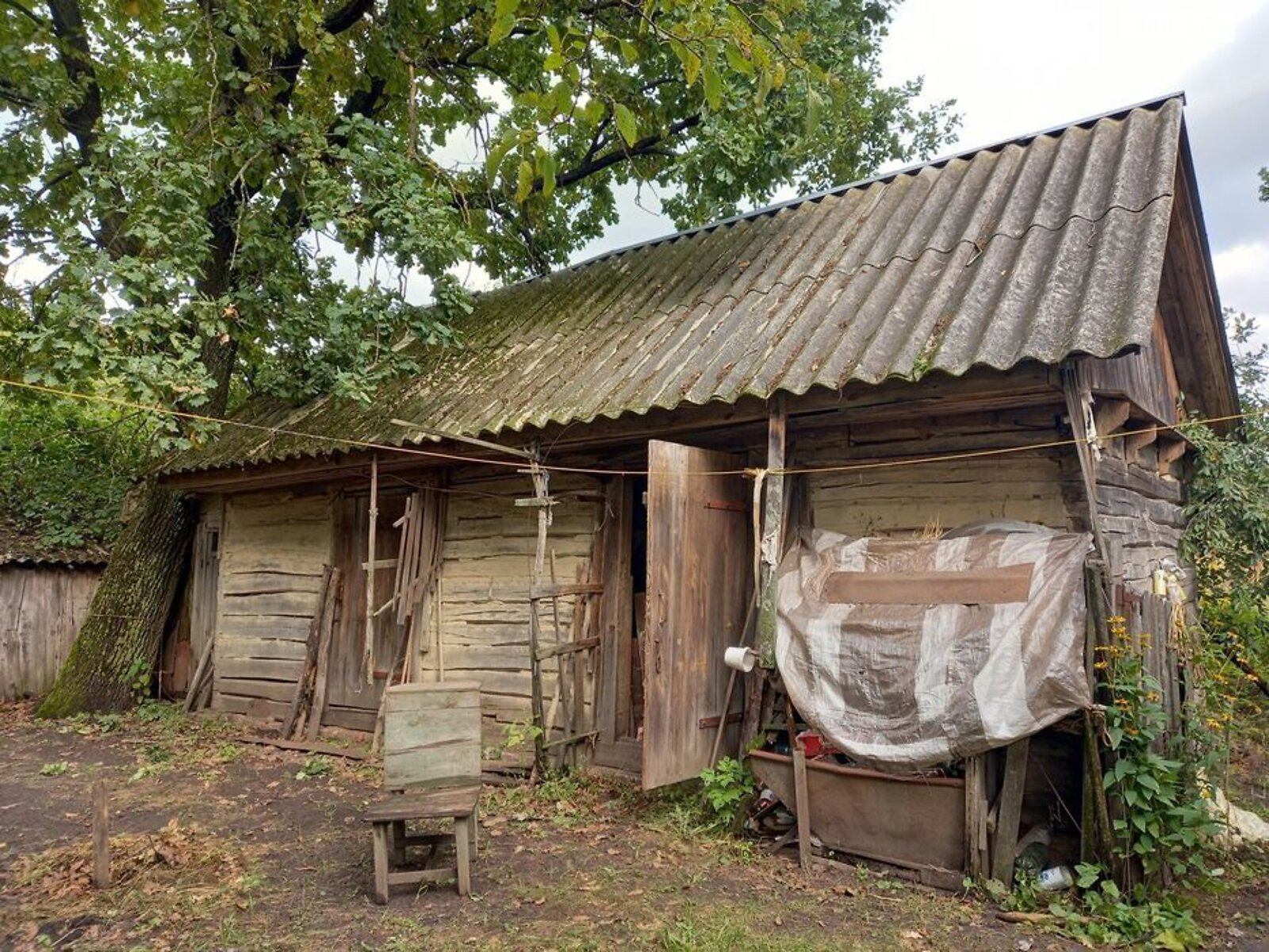 одноэтажный дом, 60 кв. м, сруб. Продажа в Новом фото 1 одноэтажный дом, 60 кв. м, сруб. Продажа в Новом фото 1