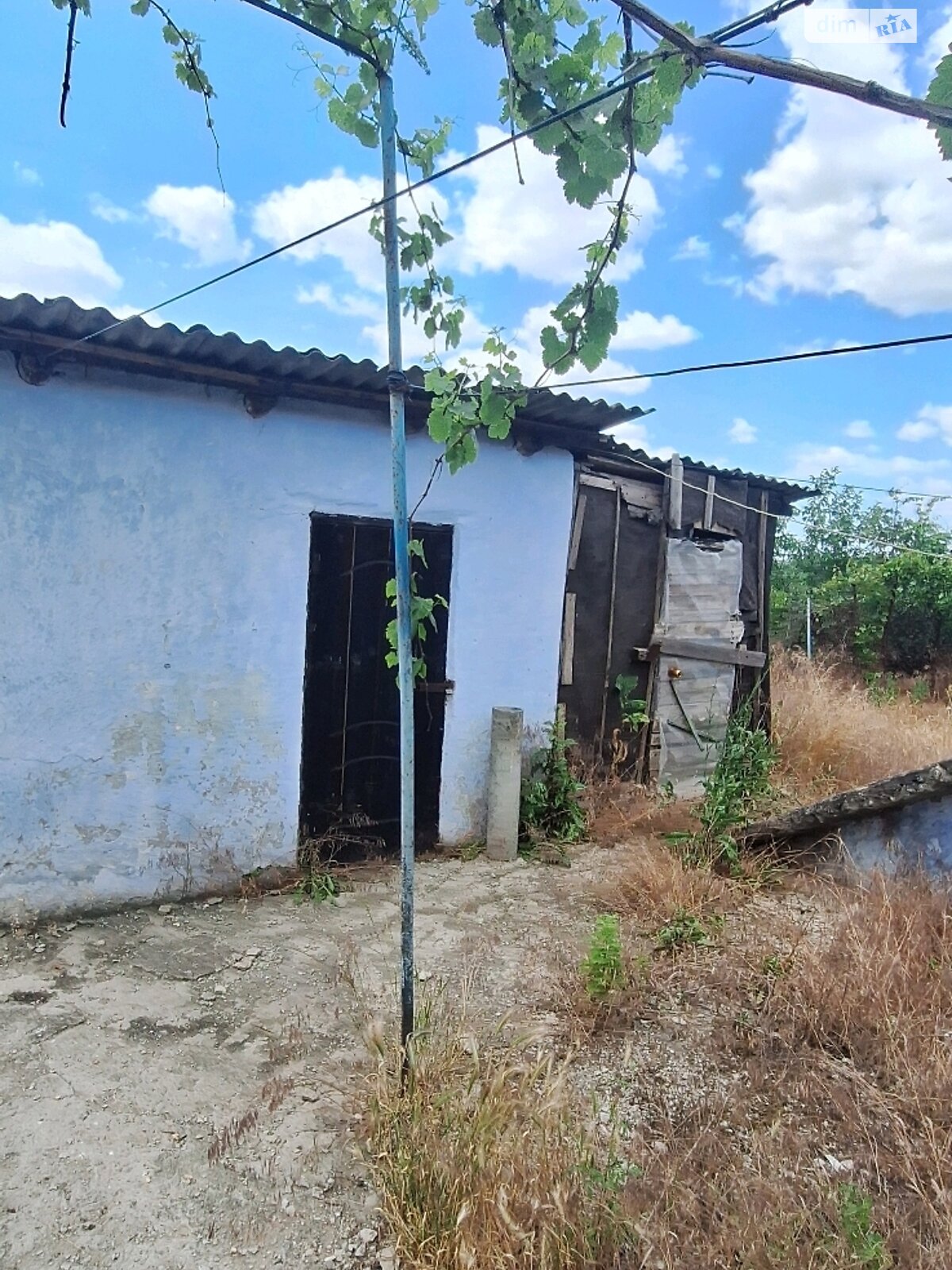 одноповерховий будинок з верандою, 56 кв. м, ракушняк. Продаж у Новоградковке фото 1 одноповерховий будинок з верандою, 56 кв. м, ракушняк. Продаж у Новоградковке фото 1