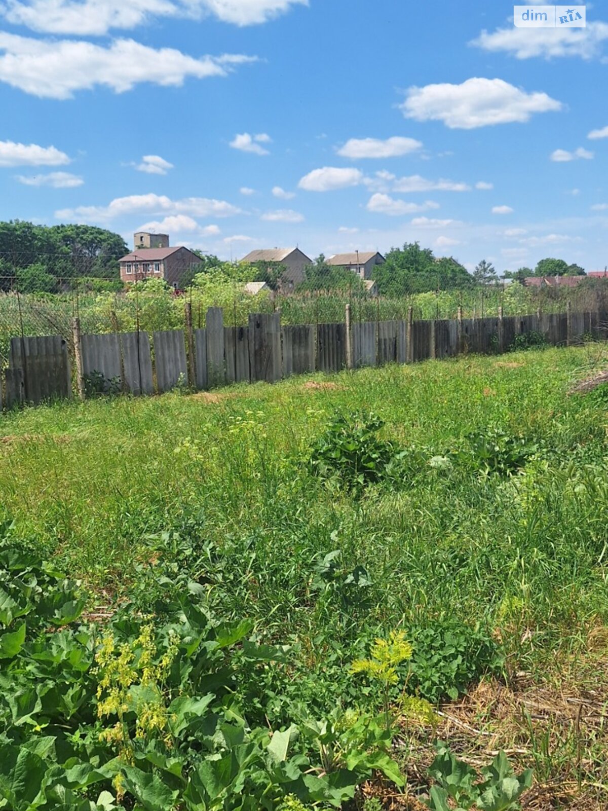 одноповерховий будинок з верандою, 56 кв. м, ракушняк. Продаж у Новоградковке фото 1 одноповерховий будинок з верандою, 56 кв. м, ракушняк. Продаж у Новоградковке фото 1