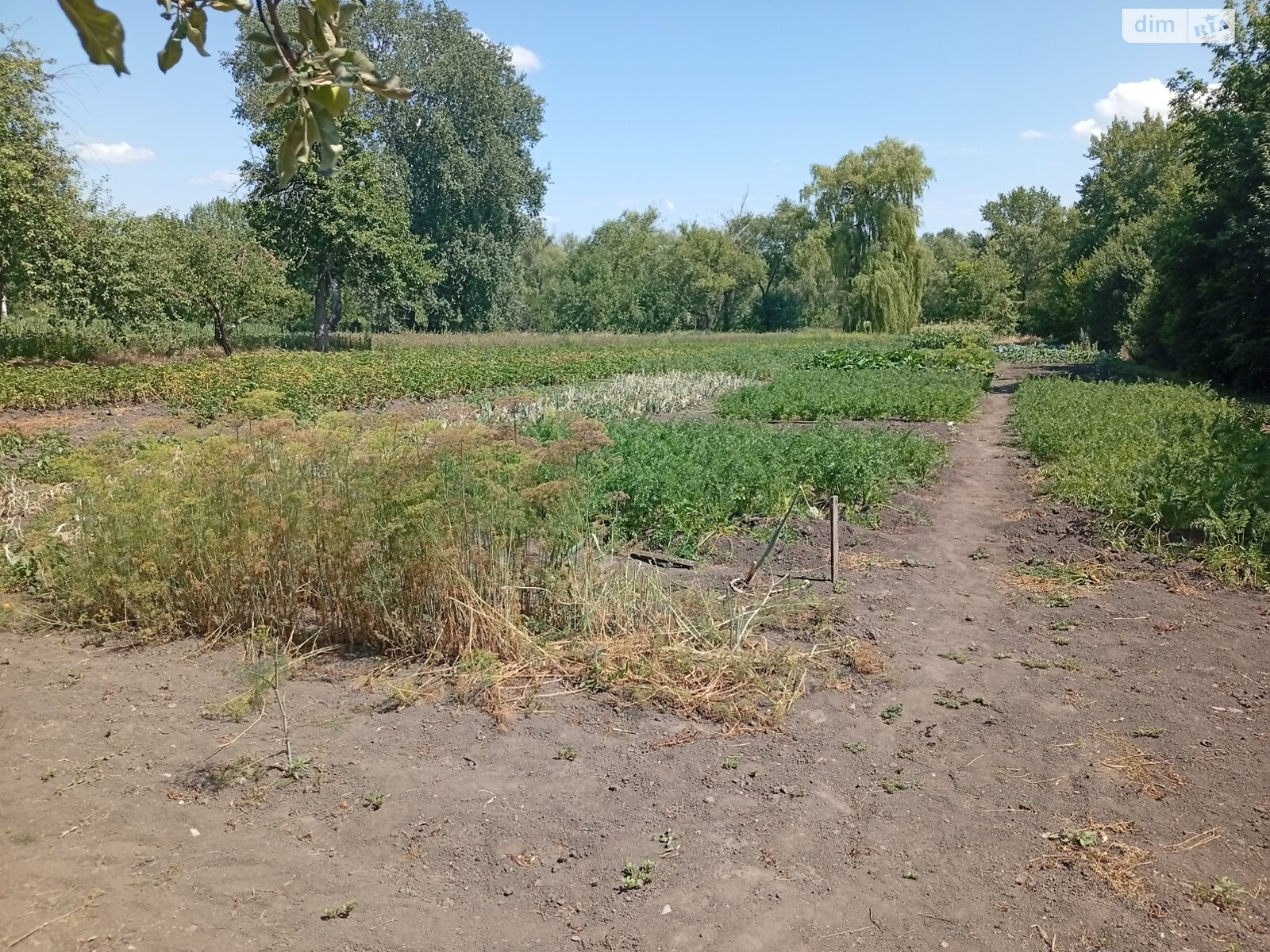одноповерховий будинок з верандою, 61.7 кв. м, цегла. Продаж у Новоіванівці фото 1 одноповерховий будинок з верандою, 61.7 кв. м, цегла. Продаж у Новоіванівці фото 1