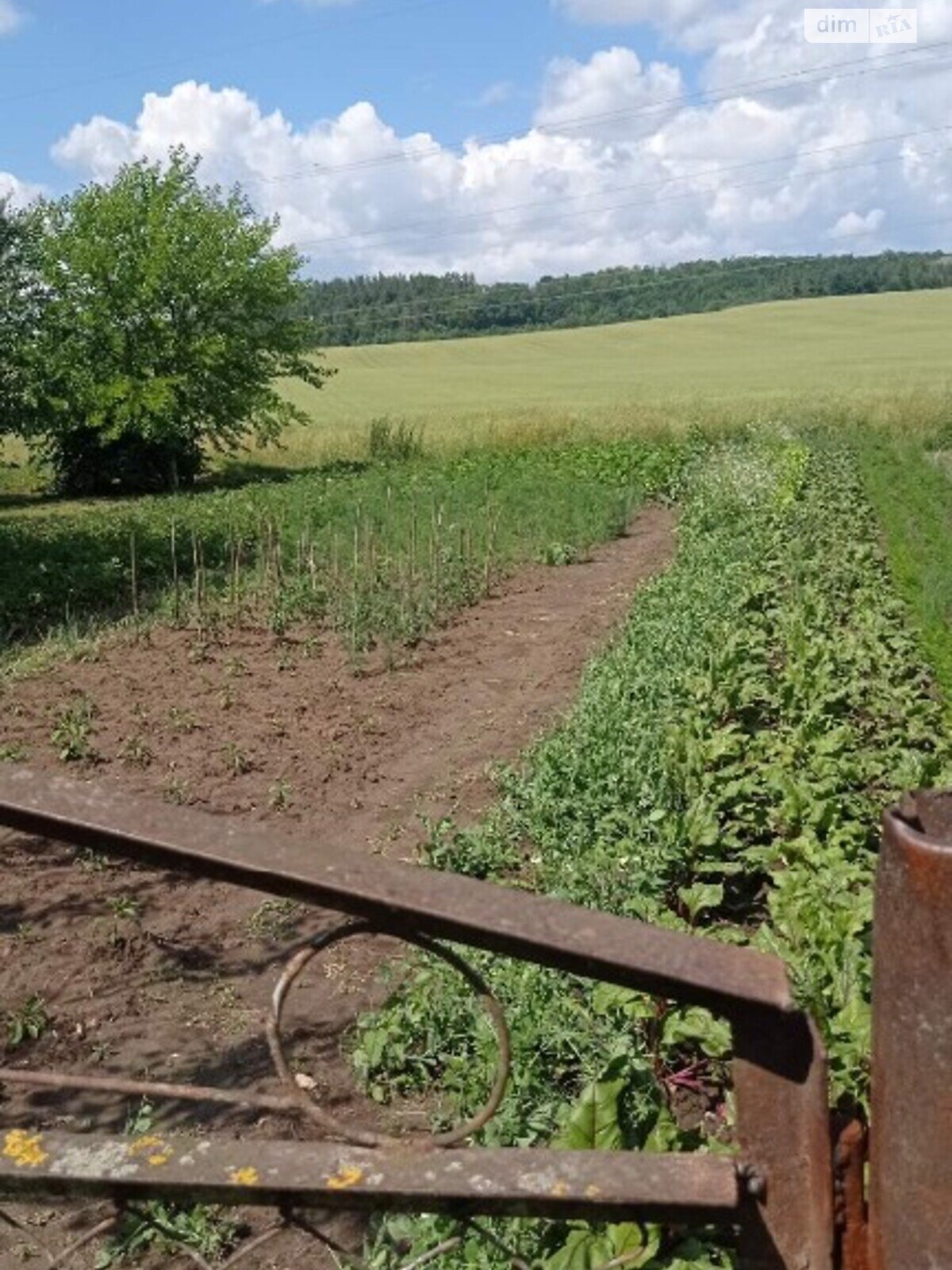 двоповерховий будинок, 156 кв. м, цегла. Продаж у Новомильську фото 1 двоповерховий будинок, 156 кв. м, цегла. Продаж у Новомильську фото 1