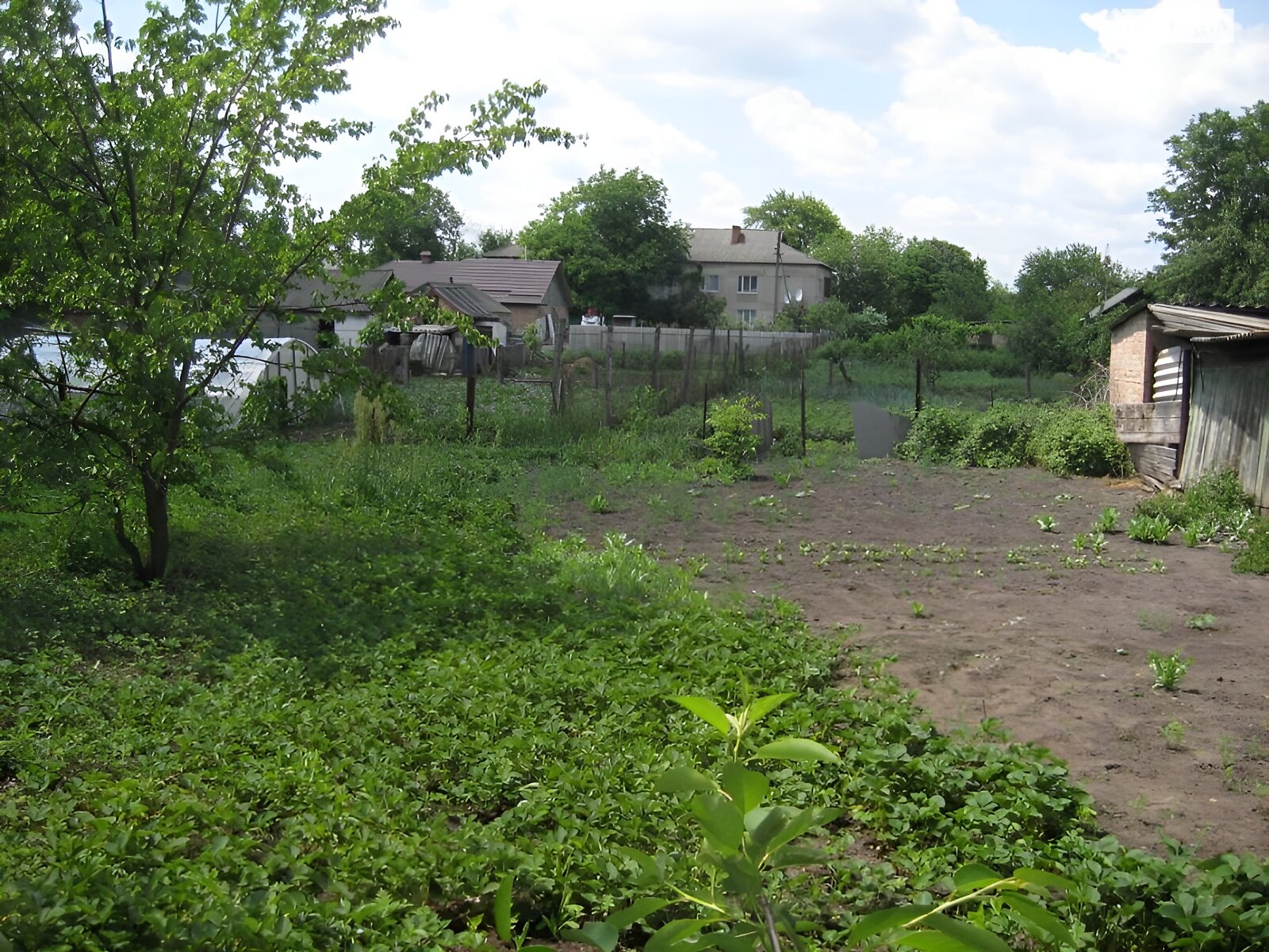 одноэтажный дом с отоплением, 100 кв. м, кирпич. Продажа в Новомиргороде фото 1 одноэтажный дом с отоплением, 100 кв. м, кирпич. Продажа в Новомиргороде фото 1