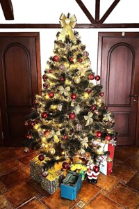 двоповерховий будинок з опаленням, 211.6 кв. м, цегла. Продаж в Самарі, район Новомосковськ фото 2