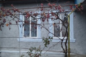 одноэтажный дом, 85 кв. м, кирпич. Продажа в Новопетровке фото 2 одноэтажный дом, 85 кв. м, кирпич. Продажа в Новопетровке фото 2