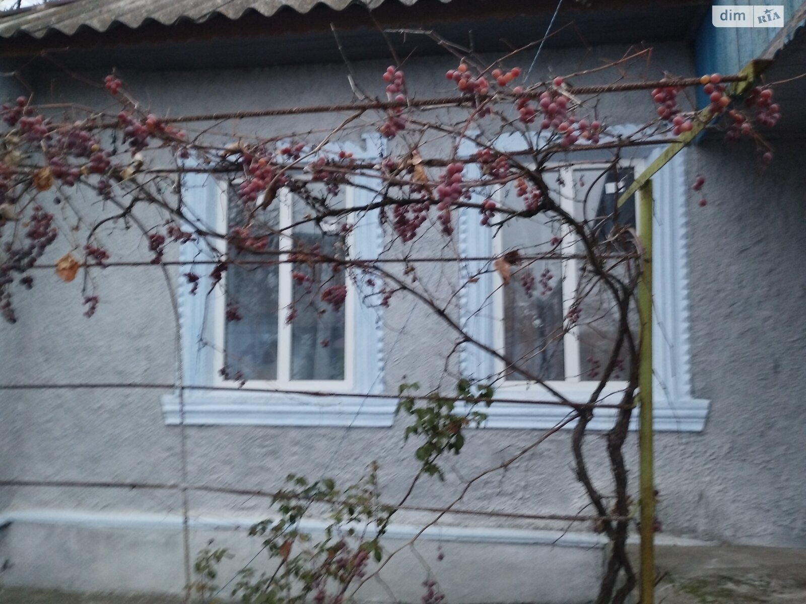 одноэтажный дом, 85 кв. м, кирпич. Продажа в Новопетровке фото 1 одноэтажный дом, 85 кв. м, кирпич. Продажа в Новопетровке фото 1