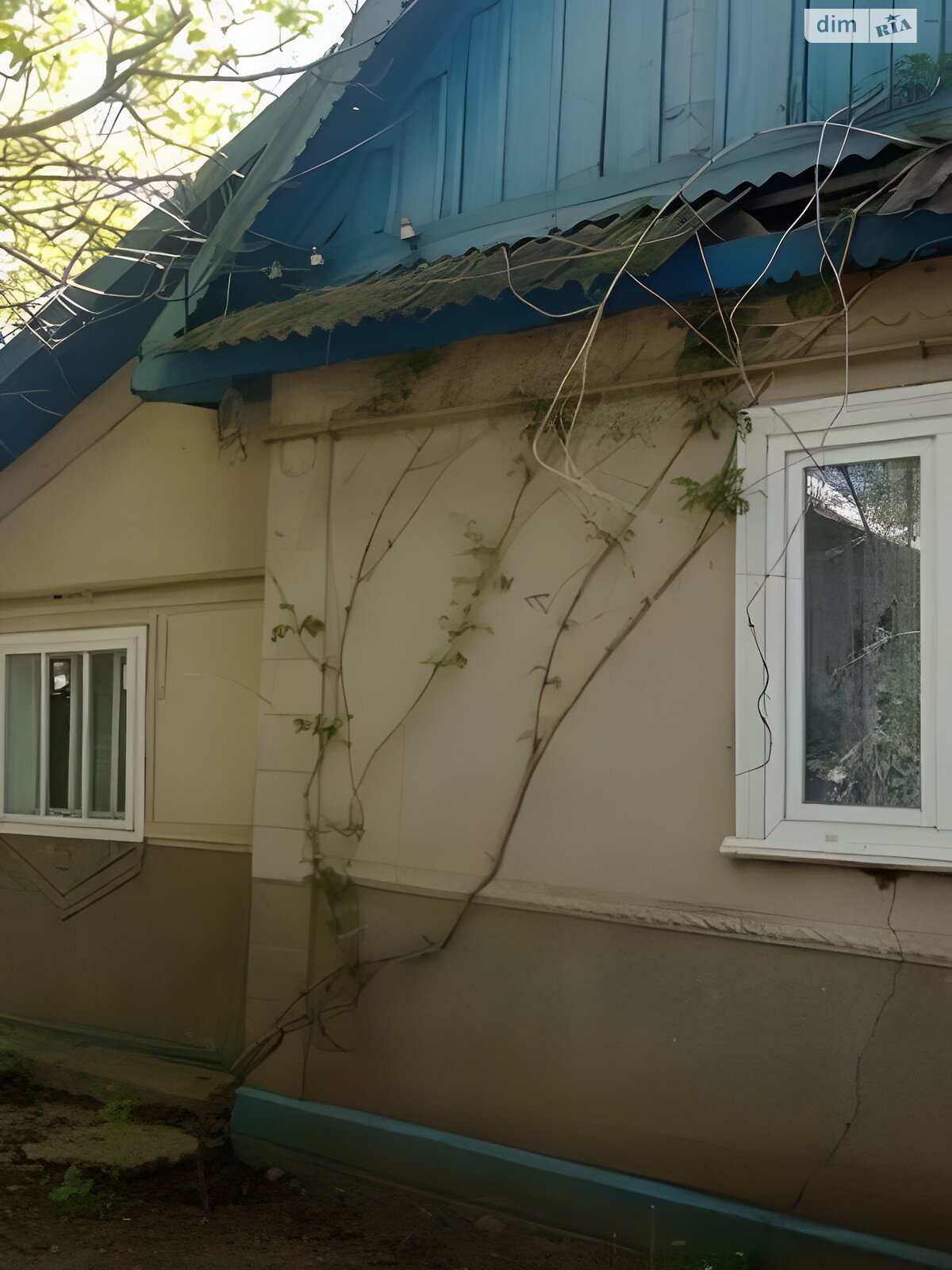 одноповерховий будинок, 100 кв. м, цегла. Продаж у Новоселиці фото 1 одноповерховий будинок, 100 кв. м, цегла. Продаж у Новоселиці фото 1