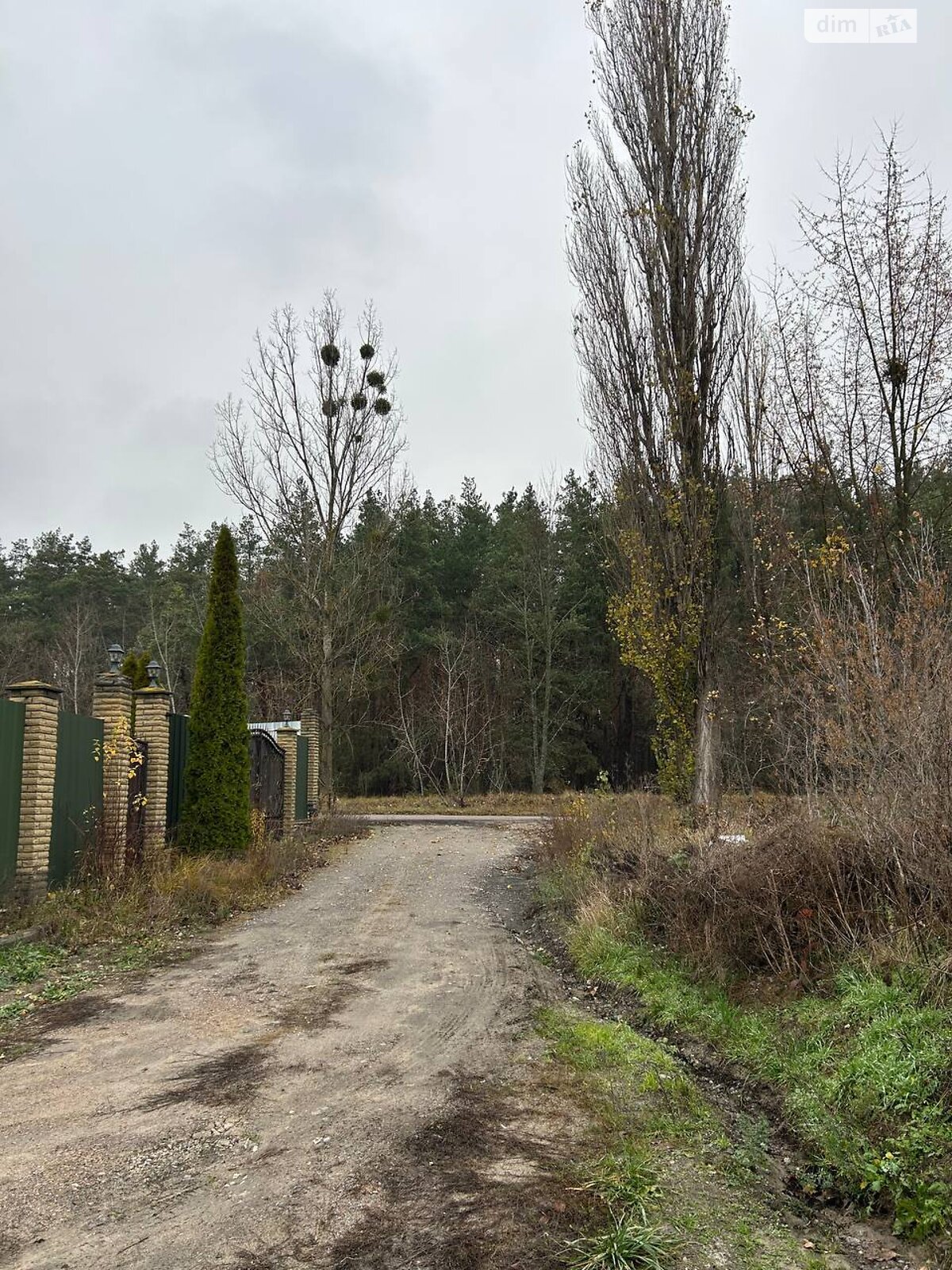 двухэтажный дом с гаражом, 281.1 кв. м, монолит. Продажа в Новоселках фото 1 двухэтажный дом с гаражом, 281.1 кв. м, монолит. Продажа в Новоселках фото 1