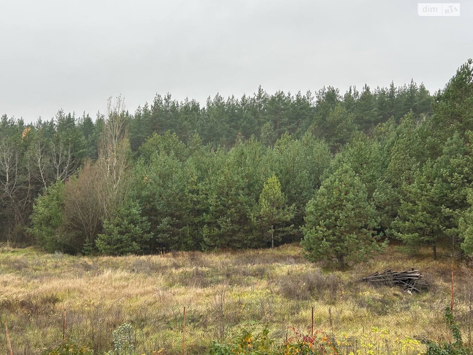 двухэтажный дом с гаражом, 281.1 кв. м, монолит. Продажа в Новоселках фото 1 двухэтажный дом с гаражом, 281.1 кв. м, монолит. Продажа в Новоселках фото 1