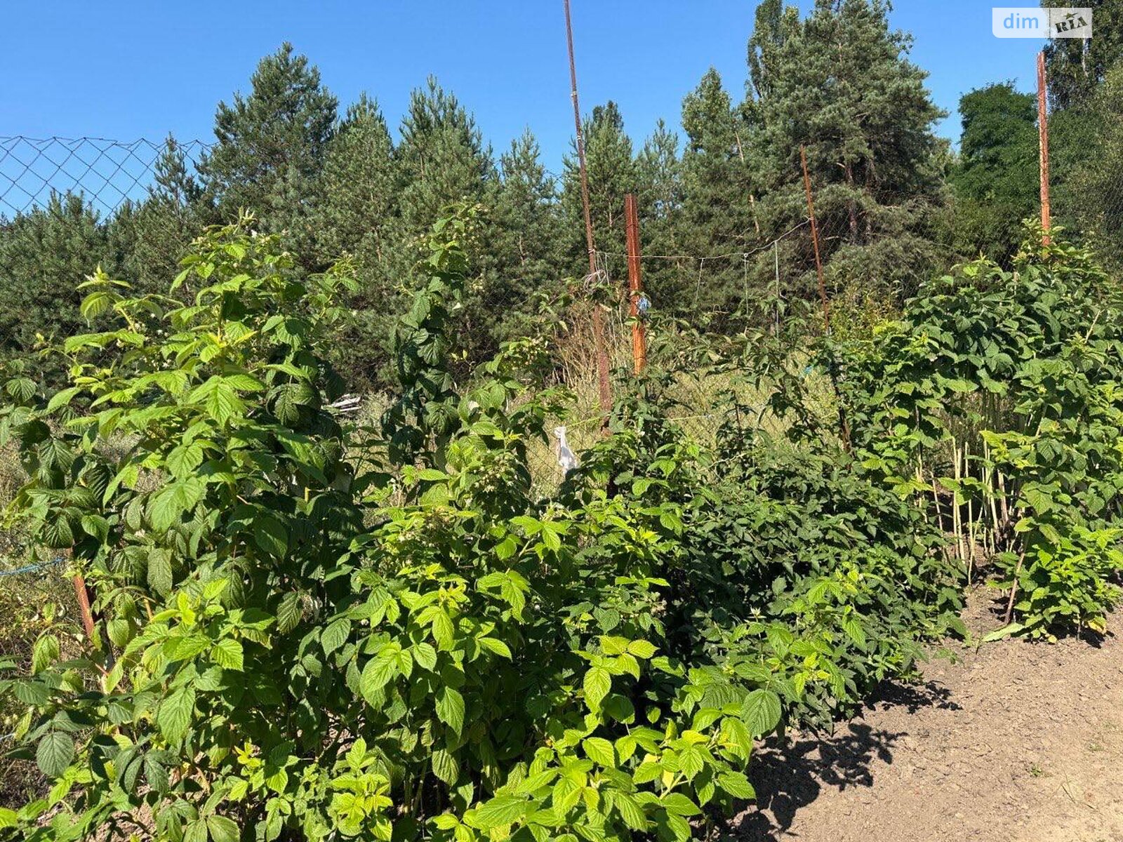 двухэтажный дом с гаражом, 281.1 кв. м, монолит. Продажа в Новоселках фото 1 двухэтажный дом с гаражом, 281.1 кв. м, монолит. Продажа в Новоселках фото 1