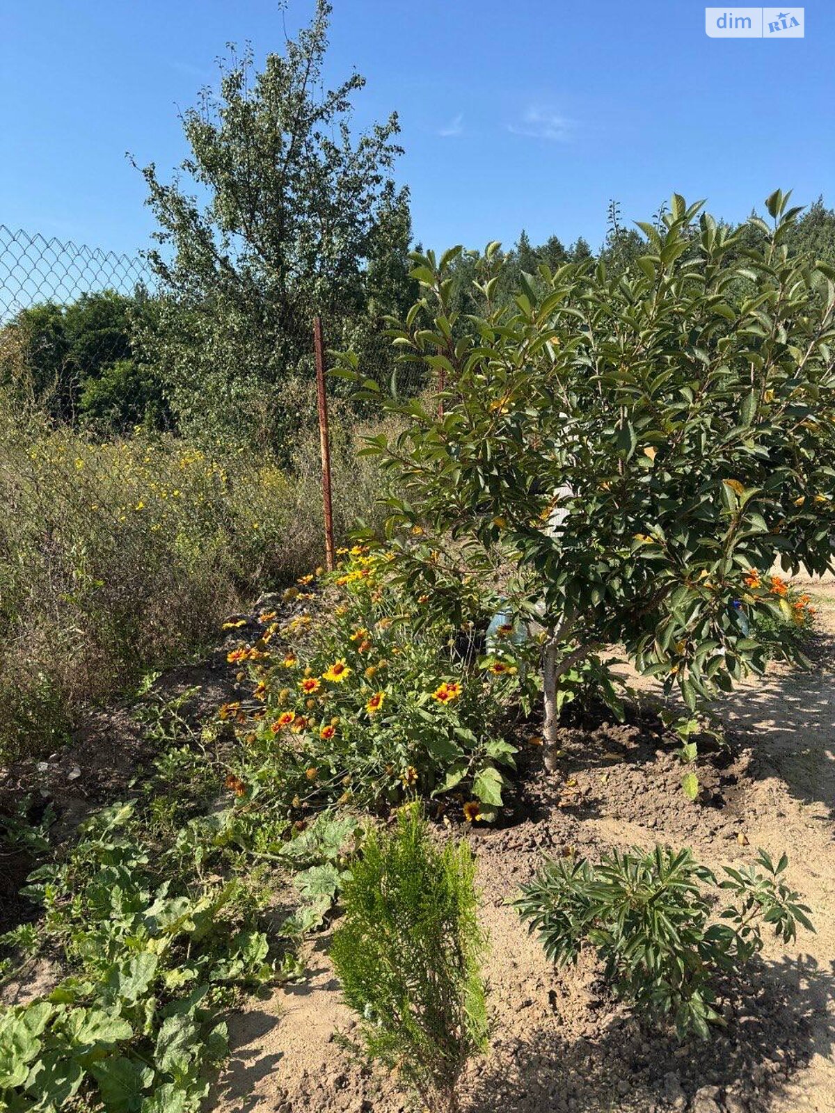 двухэтажный дом с гаражом, 281.1 кв. м, монолит. Продажа в Новоселках фото 1 двухэтажный дом с гаражом, 281.1 кв. м, монолит. Продажа в Новоселках фото 1