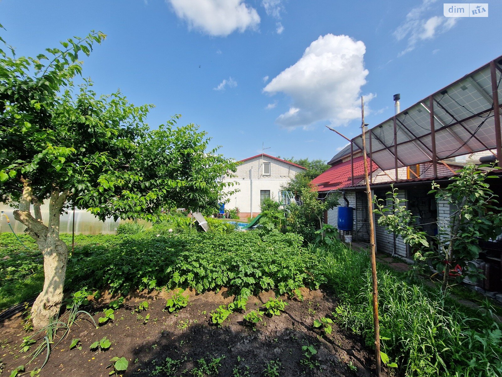 одноповерховий будинок з опаленням, 67.5 кв. м, цегла. Продаж у Новосілках фото 1 одноповерховий будинок з опаленням, 67.5 кв. м, цегла. Продаж у Новосілках фото 1