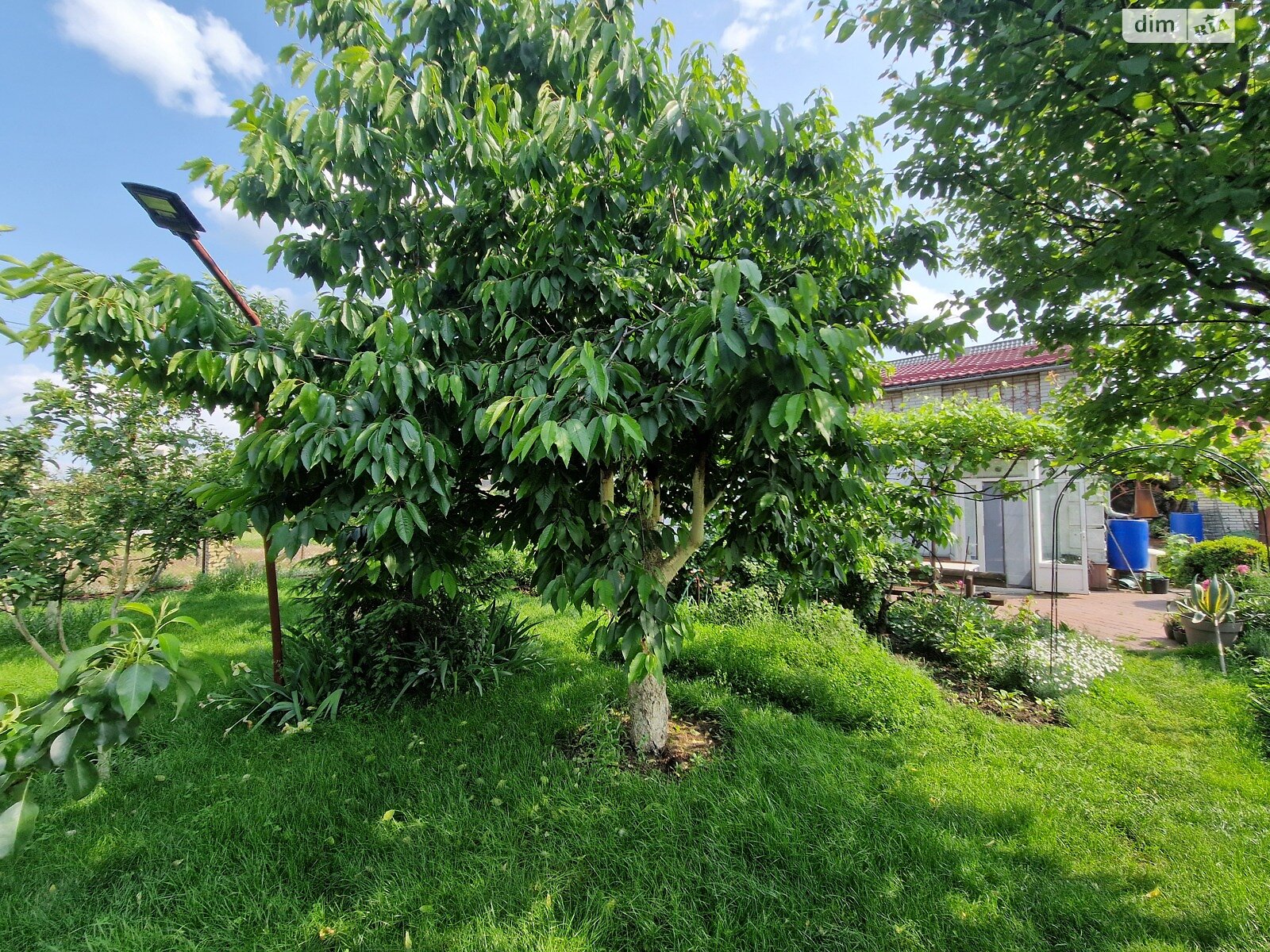 одноповерховий будинок з опаленням, 67.5 кв. м, цегла. Продаж у Новосілках фото 1 одноповерховий будинок з опаленням, 67.5 кв. м, цегла. Продаж у Новосілках фото 1