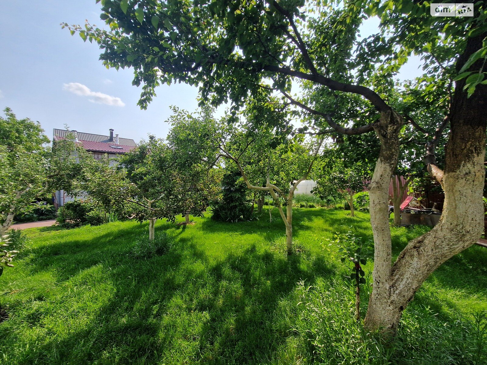 одноповерховий будинок з опаленням, 67.5 кв. м, цегла. Продаж у Новосілках фото 1 одноповерховий будинок з опаленням, 67.5 кв. м, цегла. Продаж у Новосілках фото 1