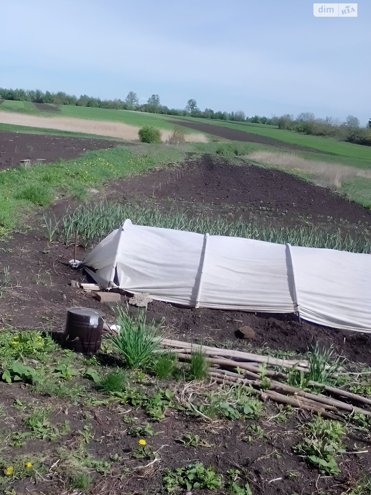 одноповерховий будинок з верандою, 45 кв. м, цегла. Продаж у Новоселівці фото 1 одноповерховий будинок з верандою, 45 кв. м, цегла. Продаж у Новоселівці фото 1