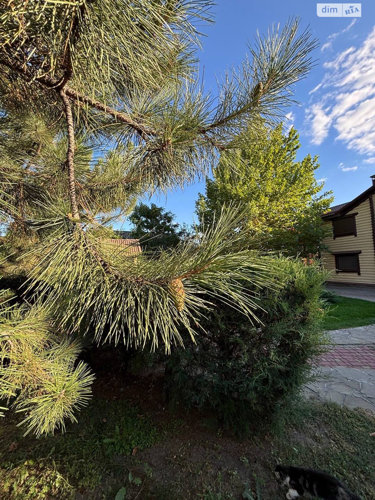 двоповерховий будинок з гаражем, 229 кв. м, зруб. Продаж у Новоселівці фото 1