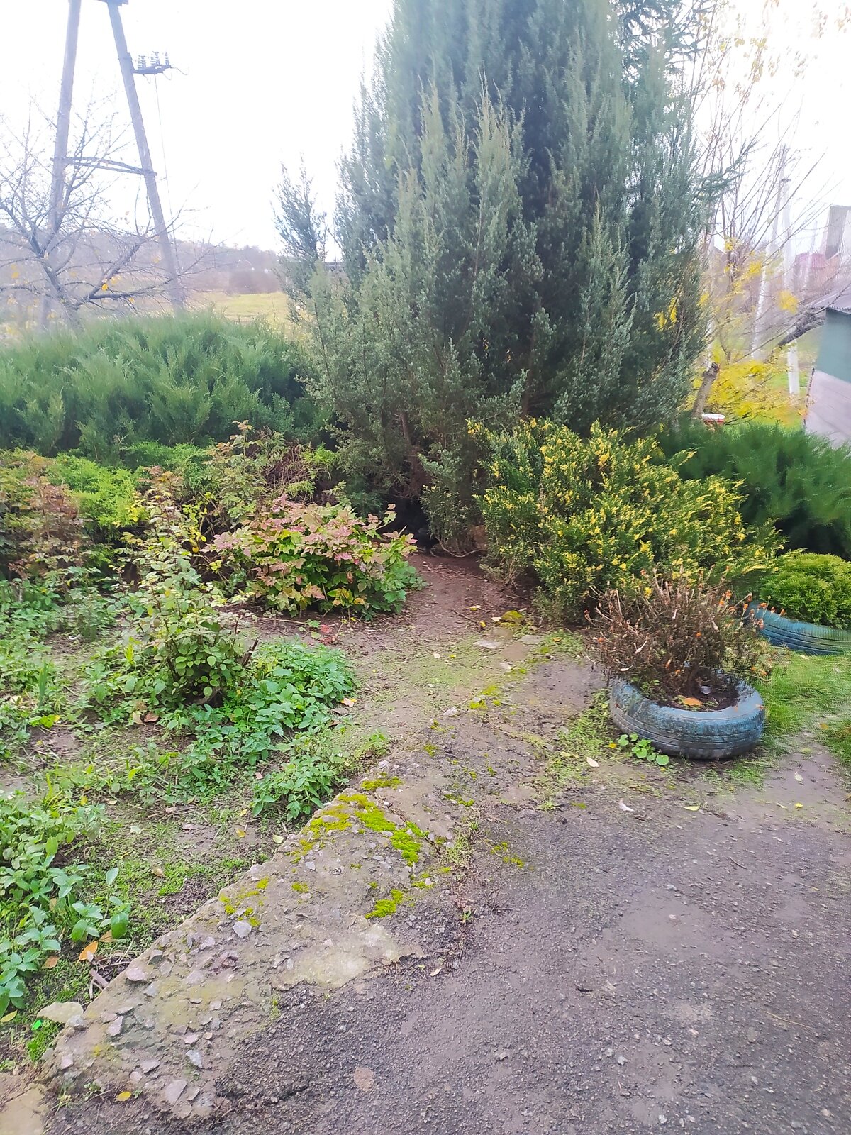 одноэтажный дом с верандой, 106 кв. м, кирпич. Продажа в Новоставе фото 1 одноэтажный дом с верандой, 106 кв. м, кирпич. Продажа в Новоставе фото 1