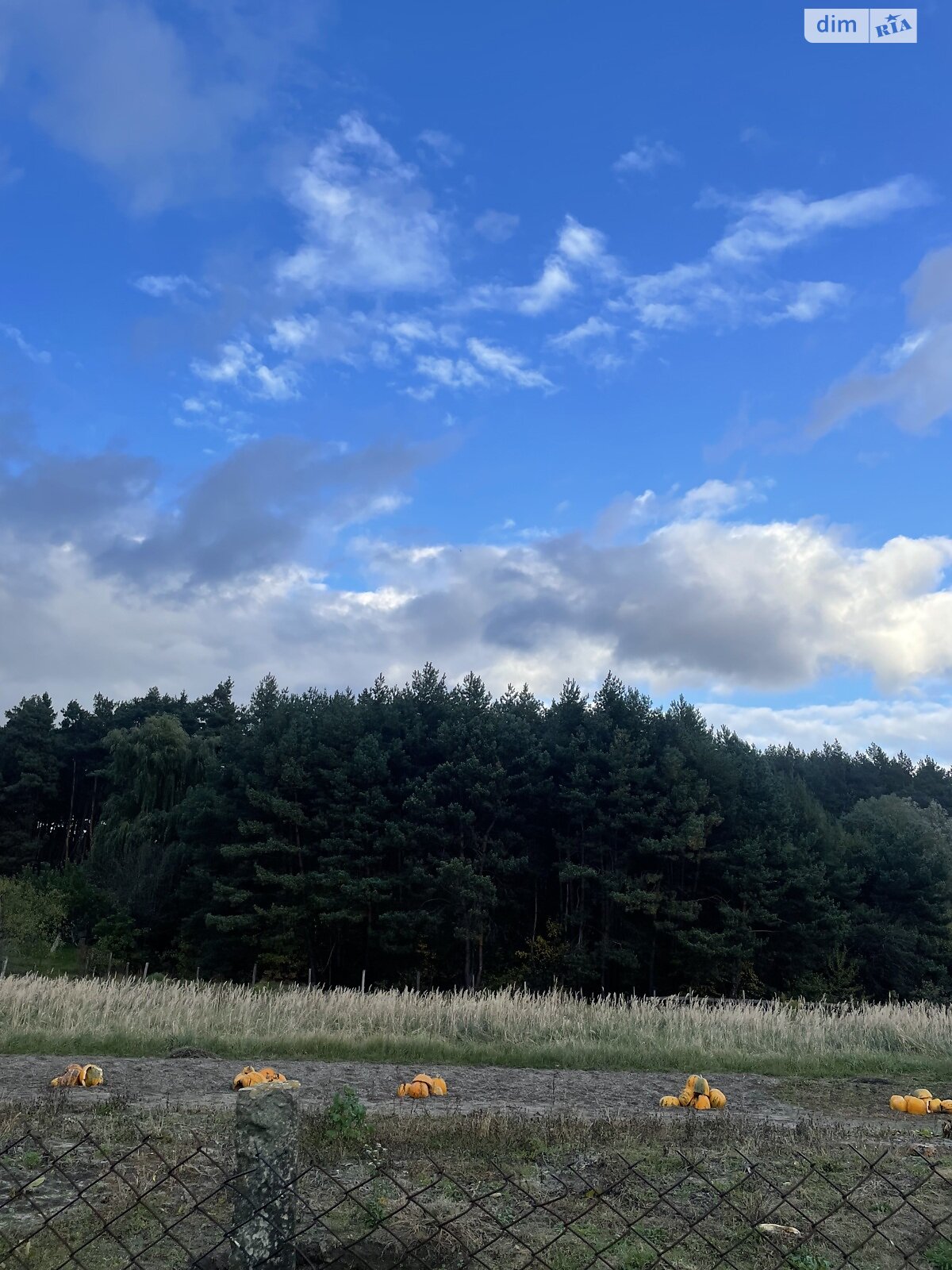 одноповерховий будинок з гаражем, 59.9 кв. м, цегла. Продаж у Новоставі фото 1