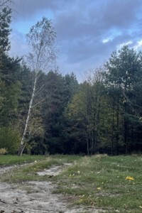 одноповерховий будинок з гаражем, 59.9 кв. м, цегла. Продаж у Новоставі фото 2