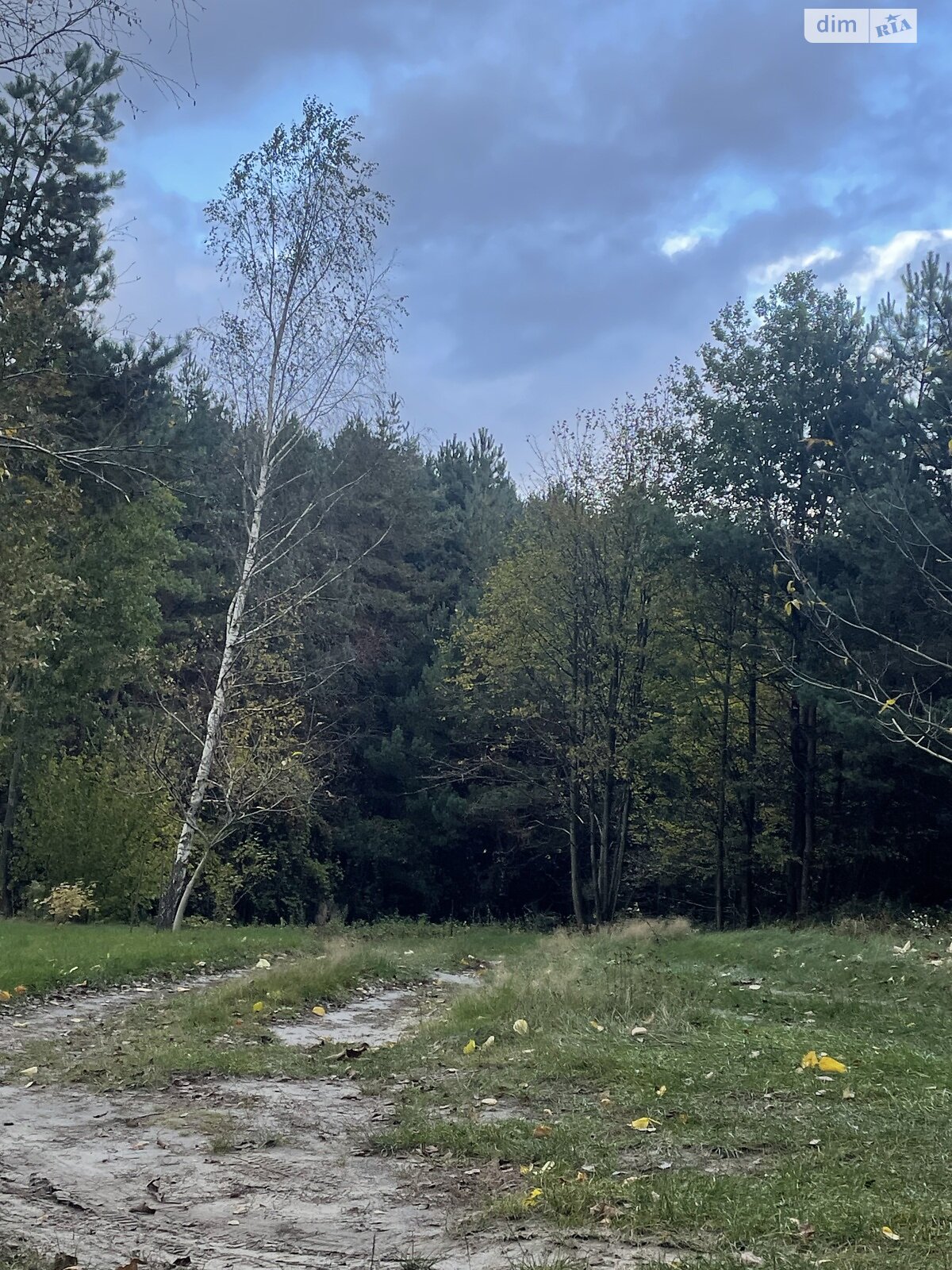 одноповерховий будинок з гаражем, 59.9 кв. м, цегла. Продаж у Новоставі фото 1