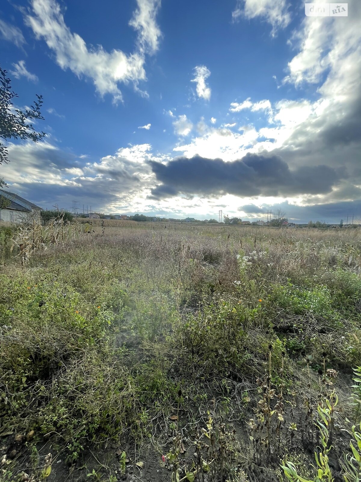 одноповерховий будинок з гаражем, 59.9 кв. м, цегла. Продаж у Новоставі фото 1