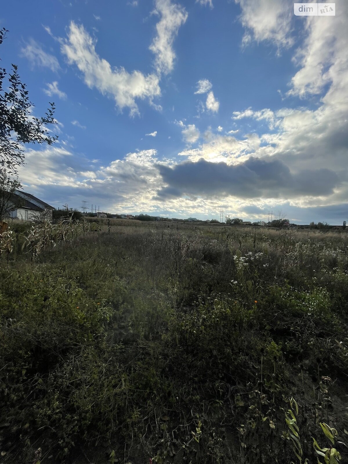 одноповерховий будинок з гаражем, 59.9 кв. м, цегла. Продаж у Новоставі фото 1