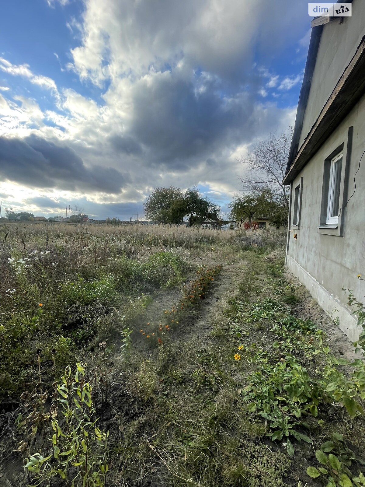 одноповерховий будинок з гаражем, 59.9 кв. м, цегла. Продаж у Новоставі фото 1