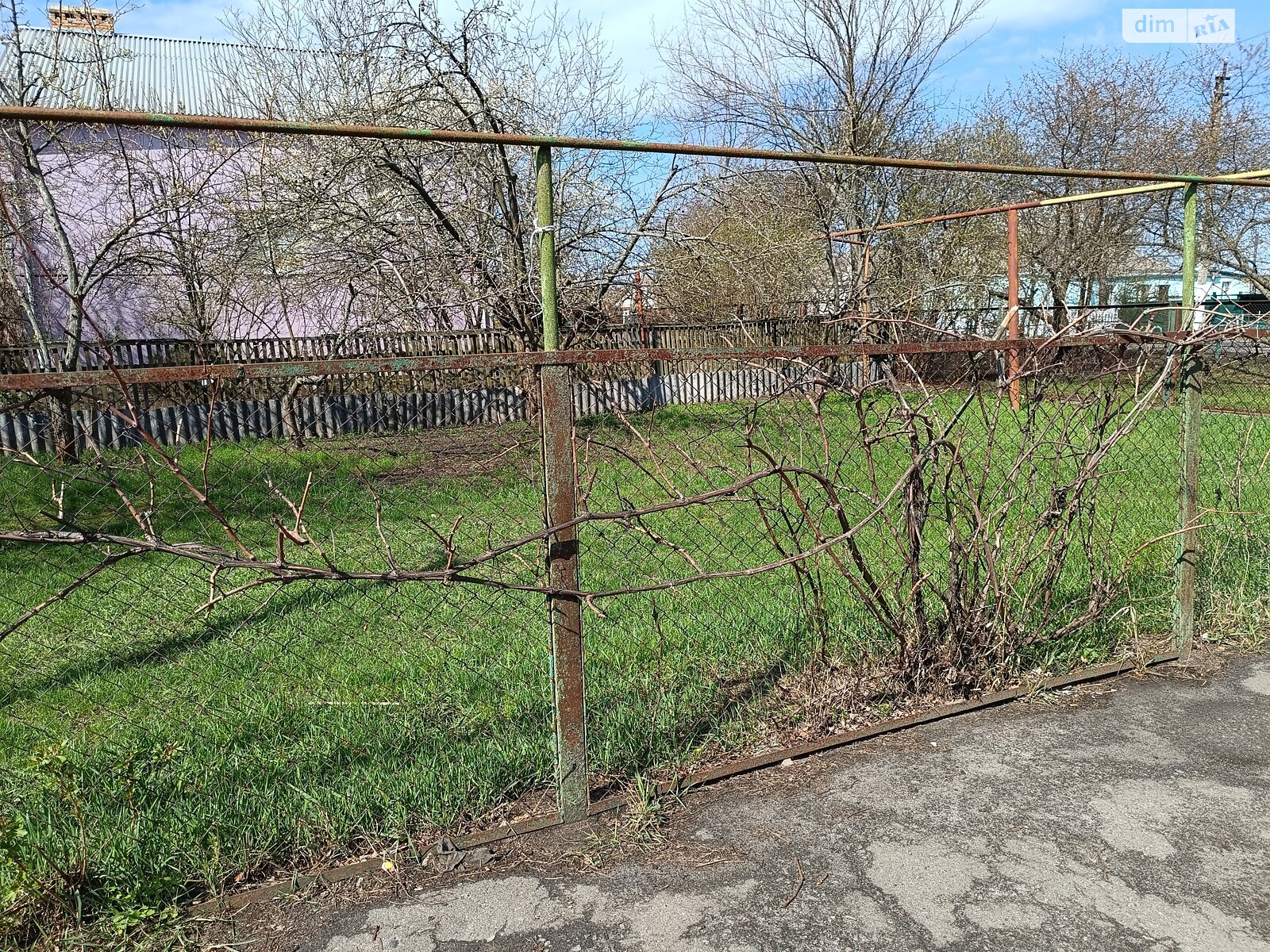 одноповерховий будинок з гаражем, 94.8 кв. м, цегла. Продаж у Новотроїцьке фото 1 одноповерховий будинок з гаражем, 94.8 кв. м, цегла. Продаж у Новотроїцьке фото 1
