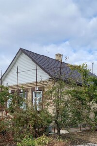 одноповерховий будинок, 54 кв. м, цегла. Продаж у Нововасилівці фото 2