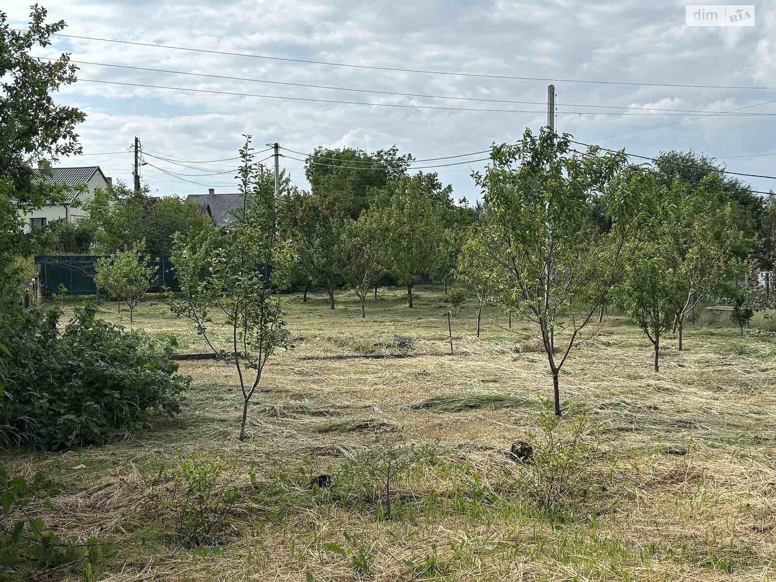 одноэтажный дом, 102 кв. м, кирпич. Продажа в Нововолынске район Нововолынск фото 1 одноэтажный дом, 102 кв. м, кирпич. Продажа в Нововолынске район Нововолынск фото 1