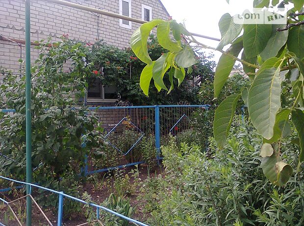 одноповерховий будинок з садом, 100 кв. м, цегла. Продаж в Новому Бузі, район Новий Буг фото 1 одноповерховий будинок з садом, 100 кв. м, цегла. Продаж в Новому Бузі, район Новий Буг фото 1