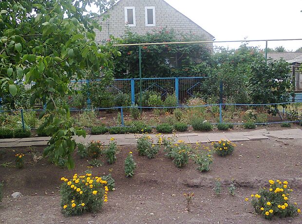 одноповерховий будинок з садом, 100 кв. м, цегла. Продаж в Новому Бузі, район Новий Буг фото 1 одноповерховий будинок з садом, 100 кв. м, цегла. Продаж в Новому Бузі, район Новий Буг фото 1