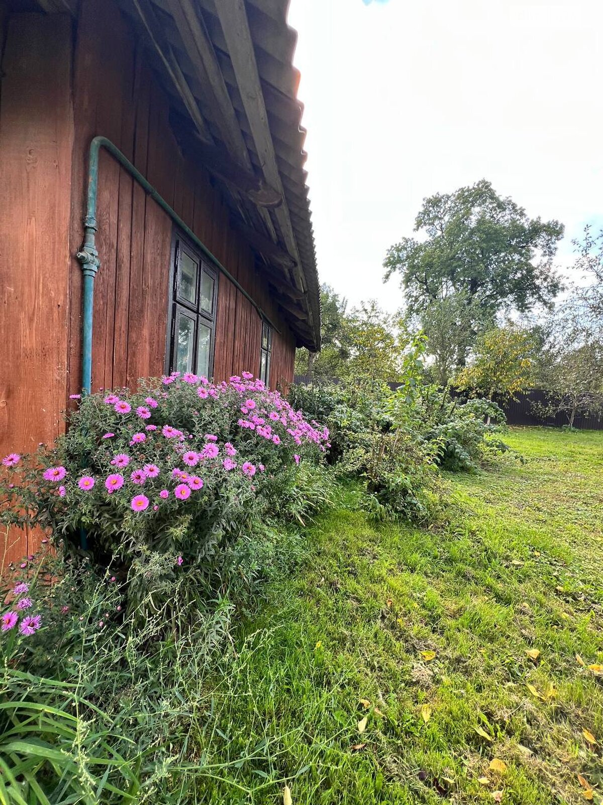 одноповерховий будинок, 49 кв. м, цегла. Продаж у Оброшине фото 1 одноповерховий будинок, 49 кв. м, цегла. Продаж у Оброшине фото 1