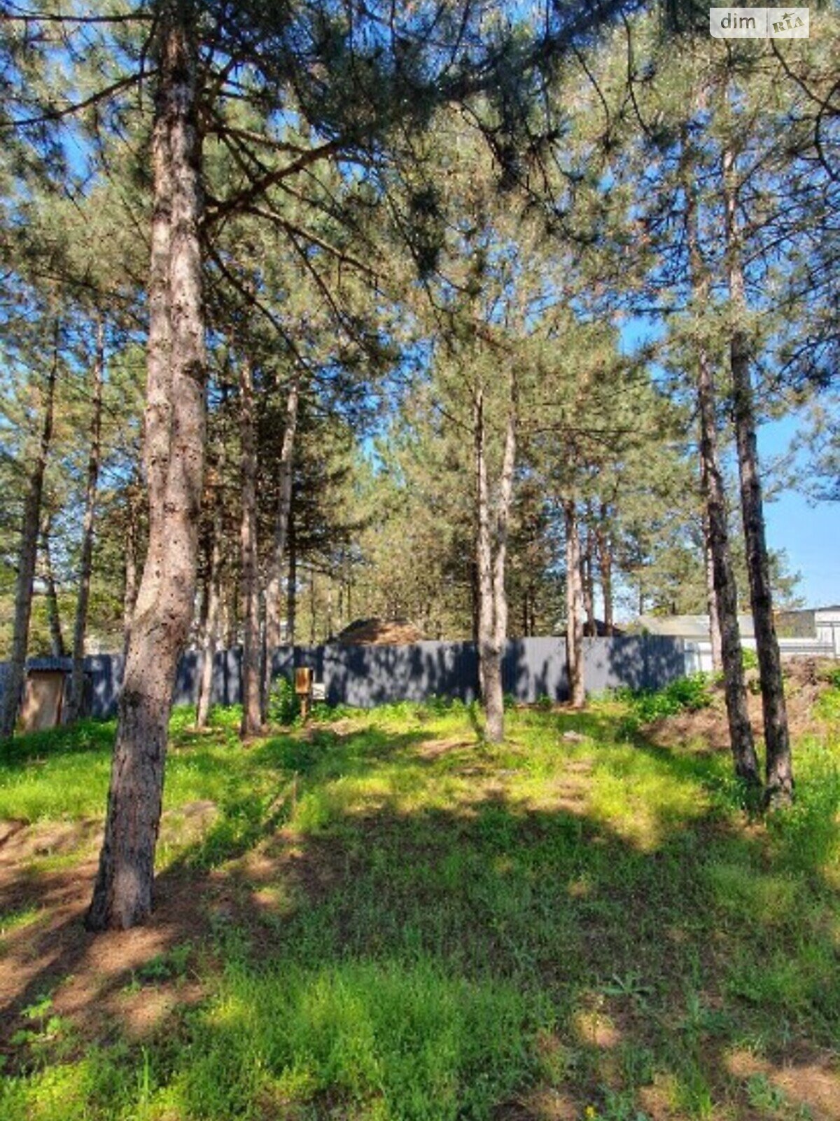 двухэтажный дом с верандой, 310 кв. м, кирпич. Продажа в Козине фото 1 двухэтажный дом с верандой, 310 кв. м, кирпич. Продажа в Козине фото 1