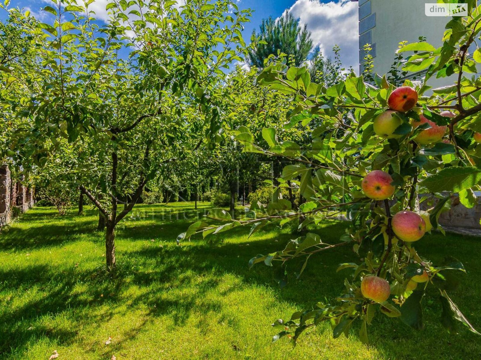 двоповерховий будинок, 499 кв. м, цегла. Продаж у Обухові фото 1 двоповерховий будинок, 499 кв. м, цегла. Продаж у Обухові фото 1