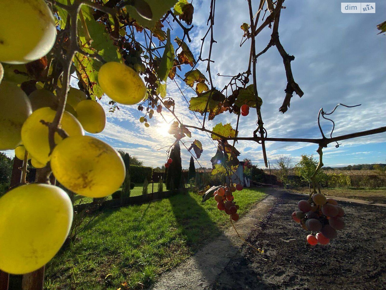 двухэтажный дом с мебелью, 60 кв. м, кирпич. Продажа в Обуховке фото 1 двухэтажный дом с мебелью, 60 кв. м, кирпич. Продажа в Обуховке фото 1