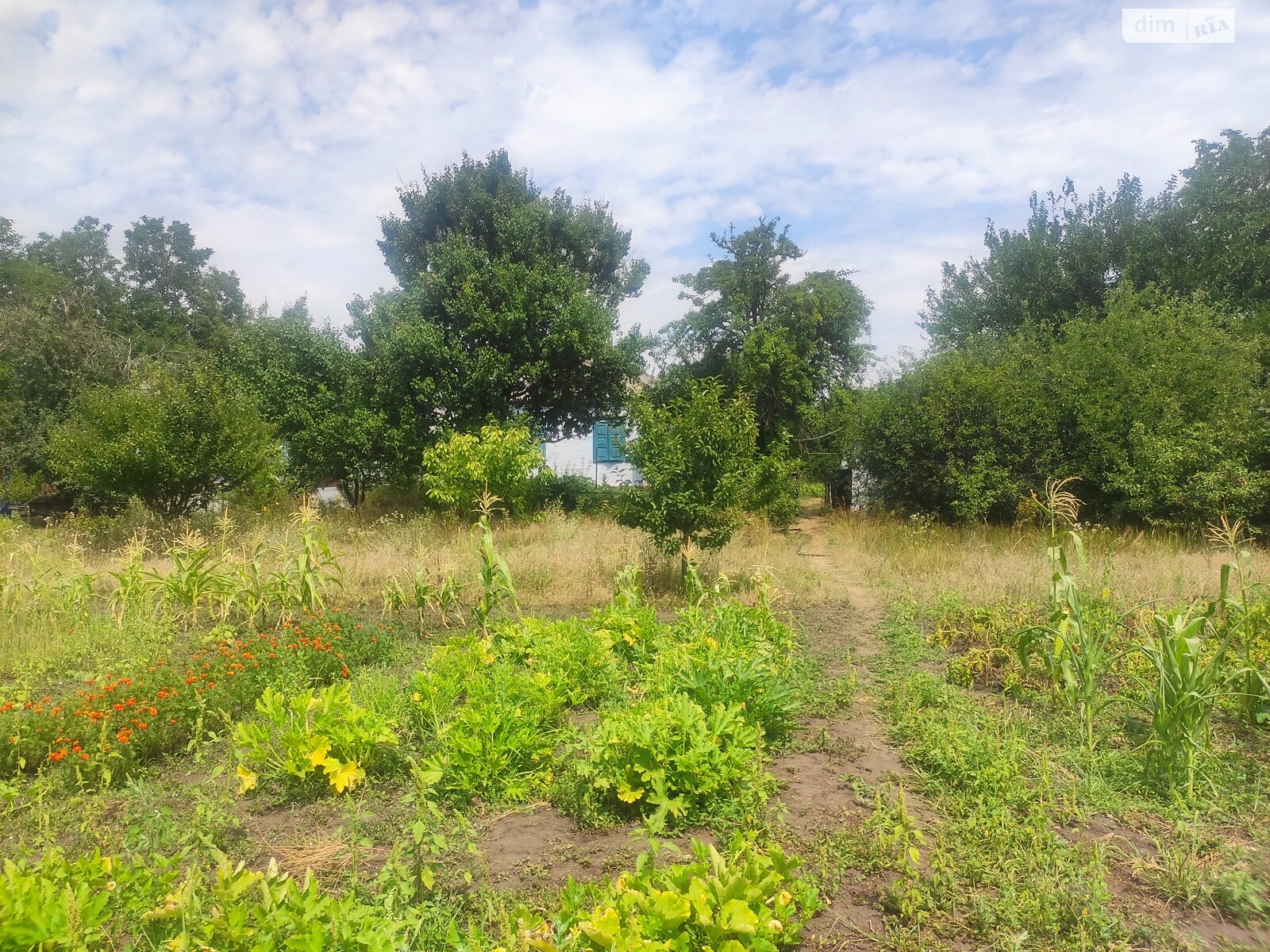 одноповерховий будинок з опаленням, 54.2 кв. м, шлакоблок. Продаж у Обухівці фото 1 одноповерховий будинок з опаленням, 54.2 кв. м, шлакоблок. Продаж у Обухівці фото 1