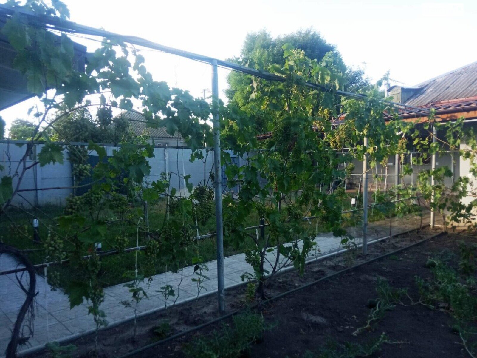 одноповерховий будинок з верандою, 120 кв. м, цегла. Продаж в Очакові, район Очаків фото 1 одноповерховий будинок з верандою, 120 кв. м, цегла. Продаж в Очакові, район Очаків фото 1