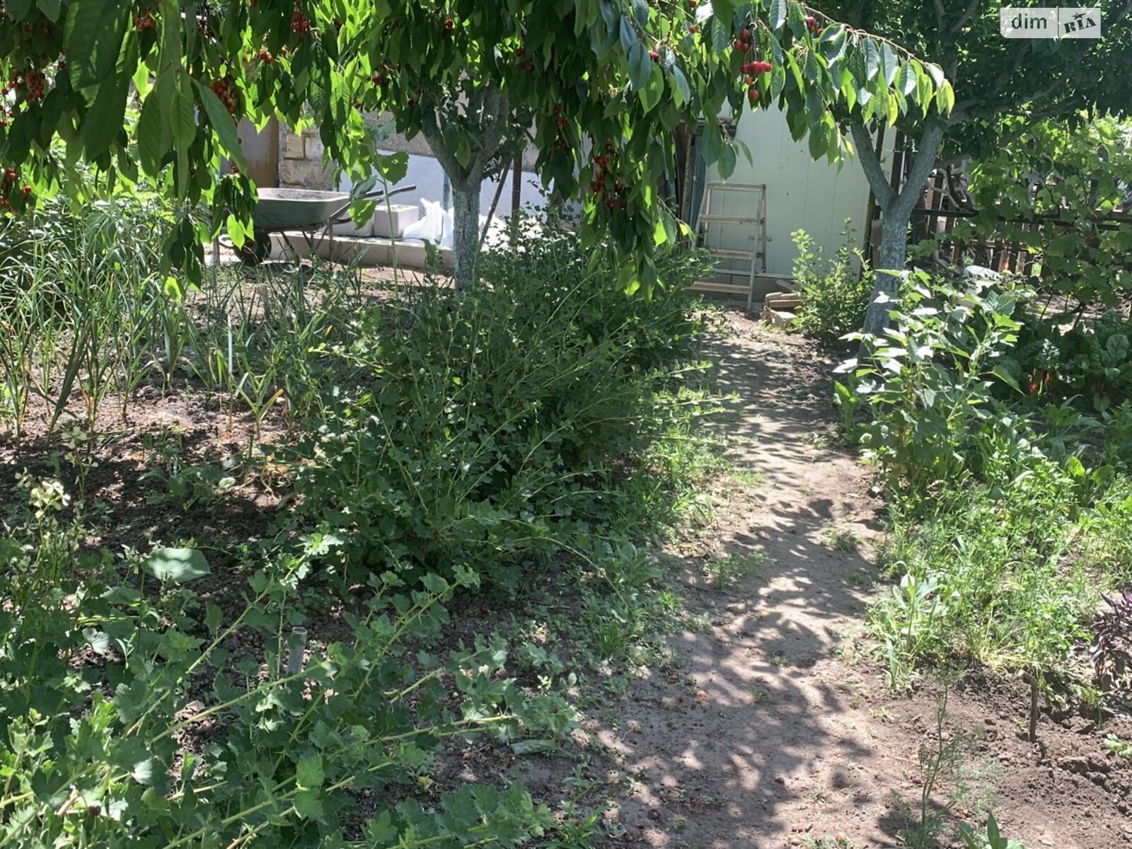 одноповерховий будинок з верандою, 58 кв. м, кирпич. Продаж в Одесі, район Великий Фонтан фото 1 одноповерховий будинок з верандою, 58 кв. м, кирпич. Продаж в Одесі, район Великий Фонтан фото 1